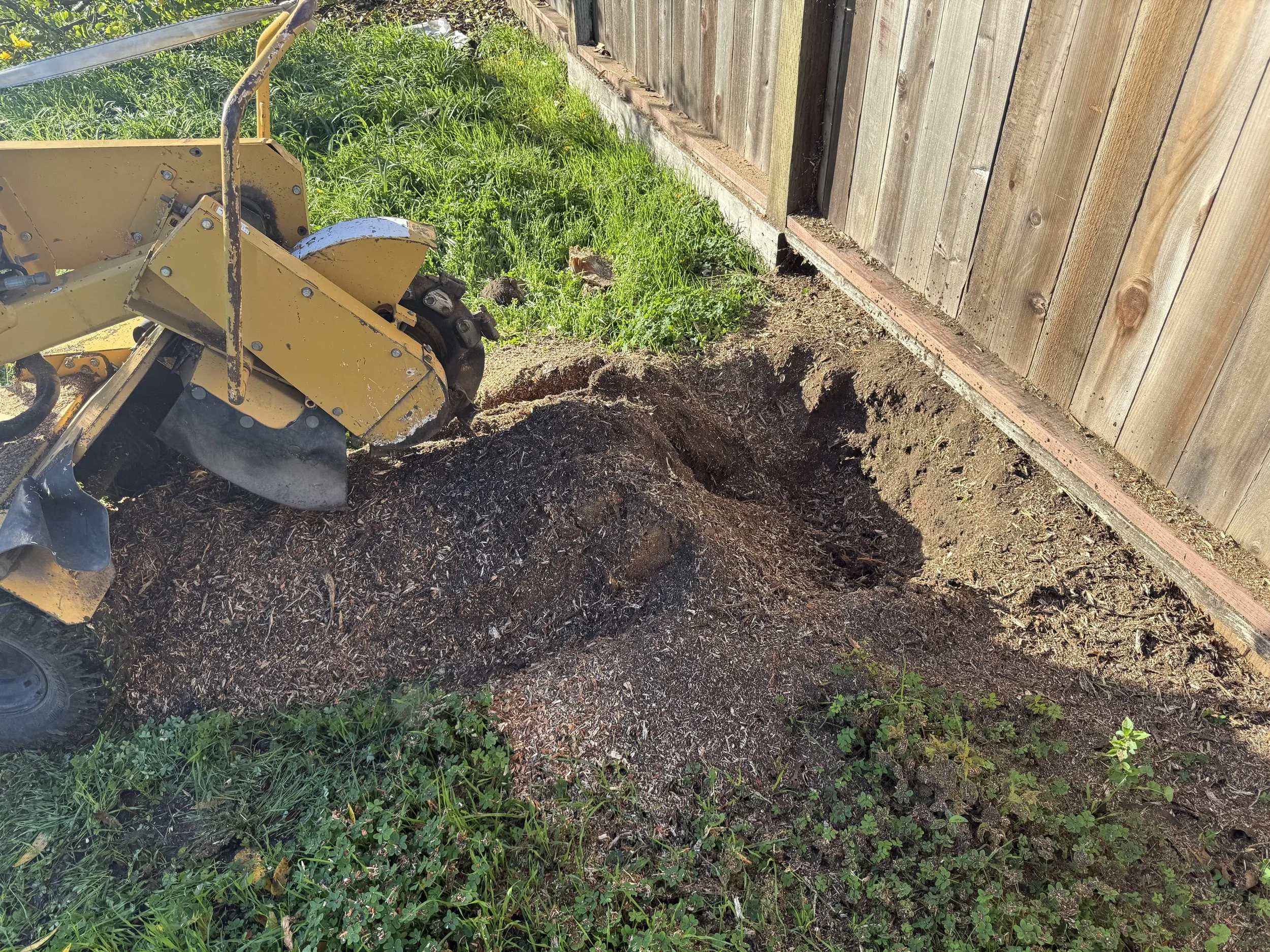 A small yellow trencher digging a narrow trench along a wooden fence in a backyard with green grass and plants.
