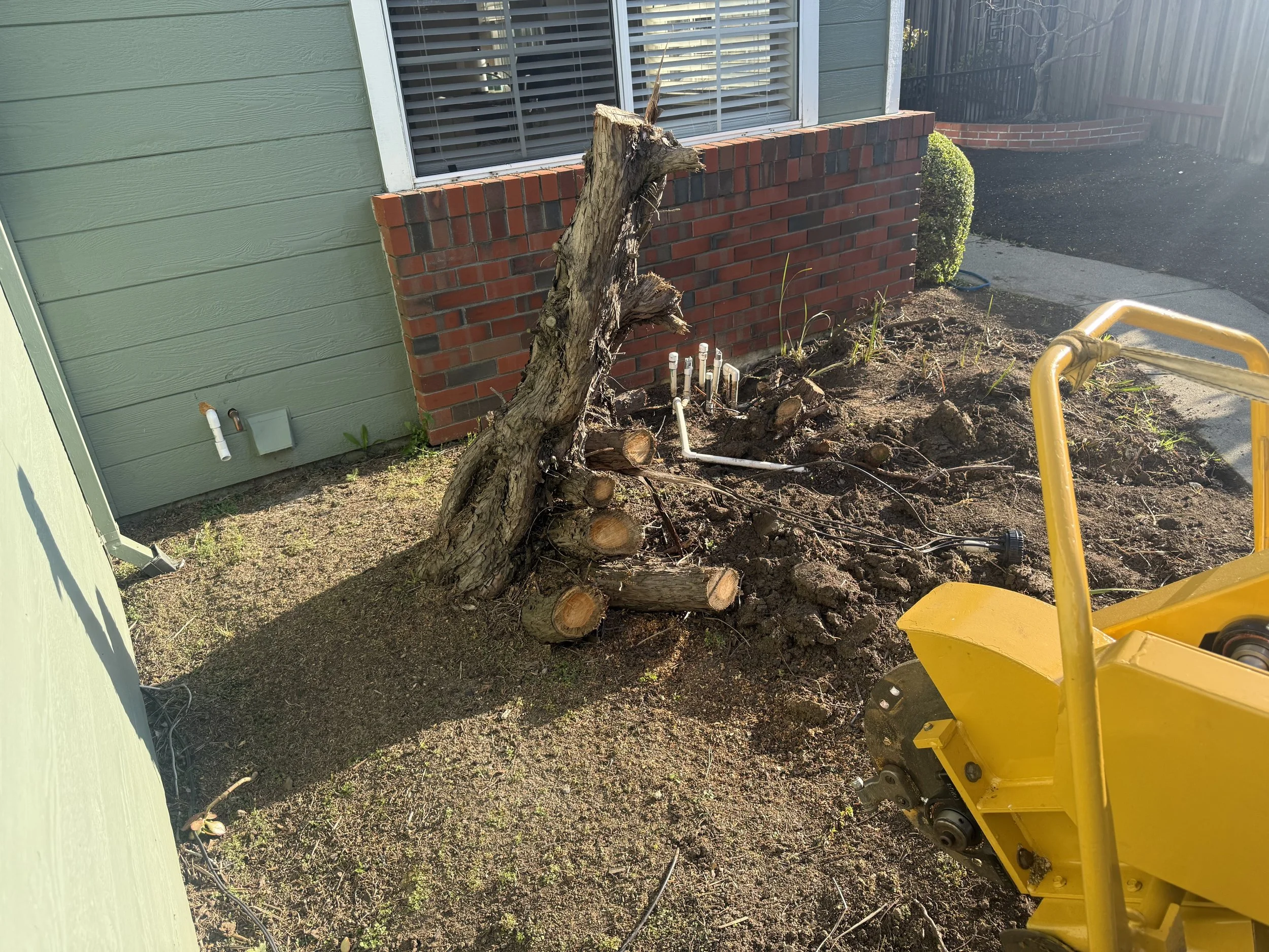 A small yard with a tree stump and freshly dug soil. There is a green house wall and a red brick wall, with pipes and drainage system installed on the ground. A yellow compactor machine is visible on the right.