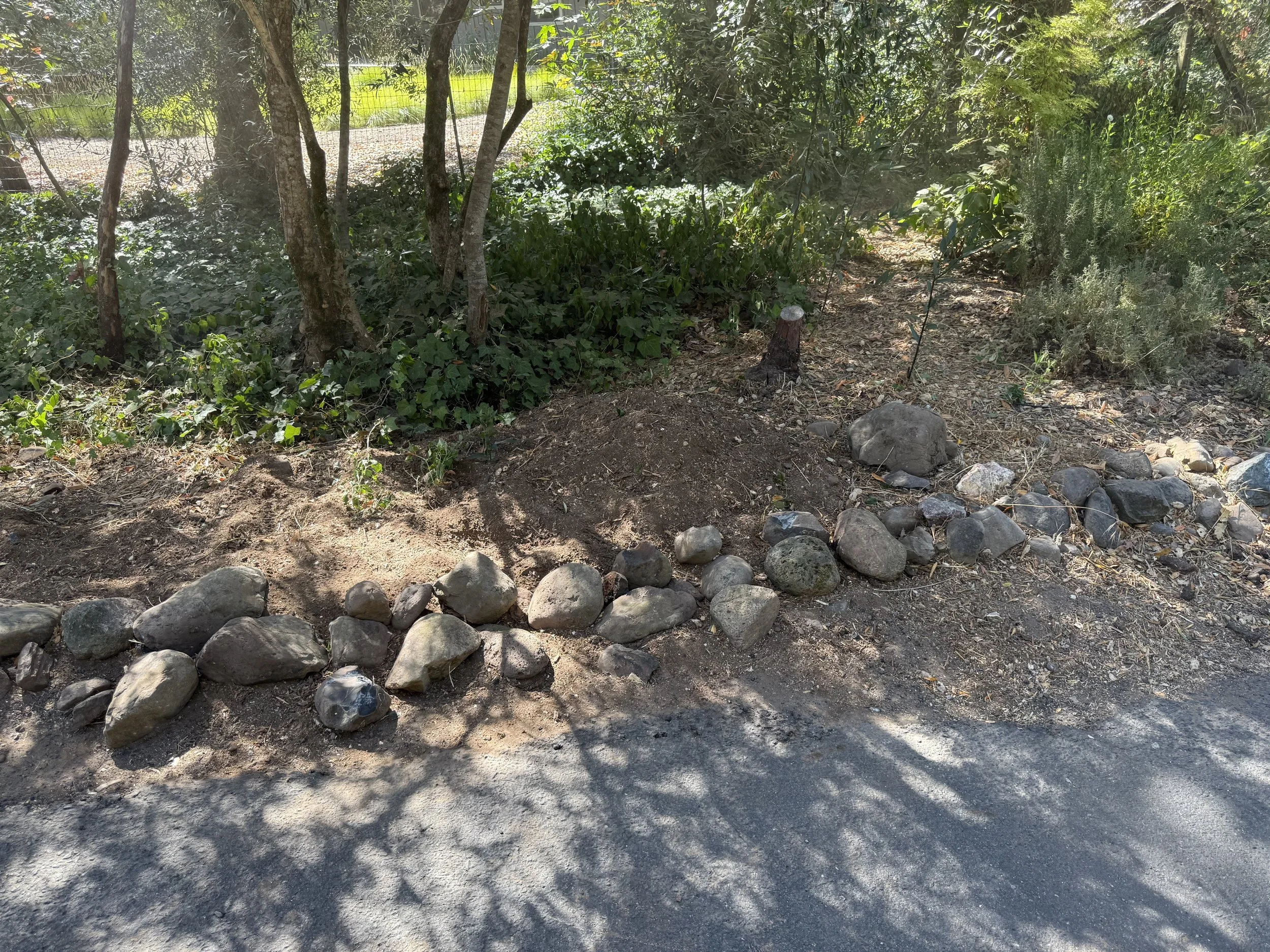 A dirt and rocky patch along the side of a paved road with trees and greenery in the background.