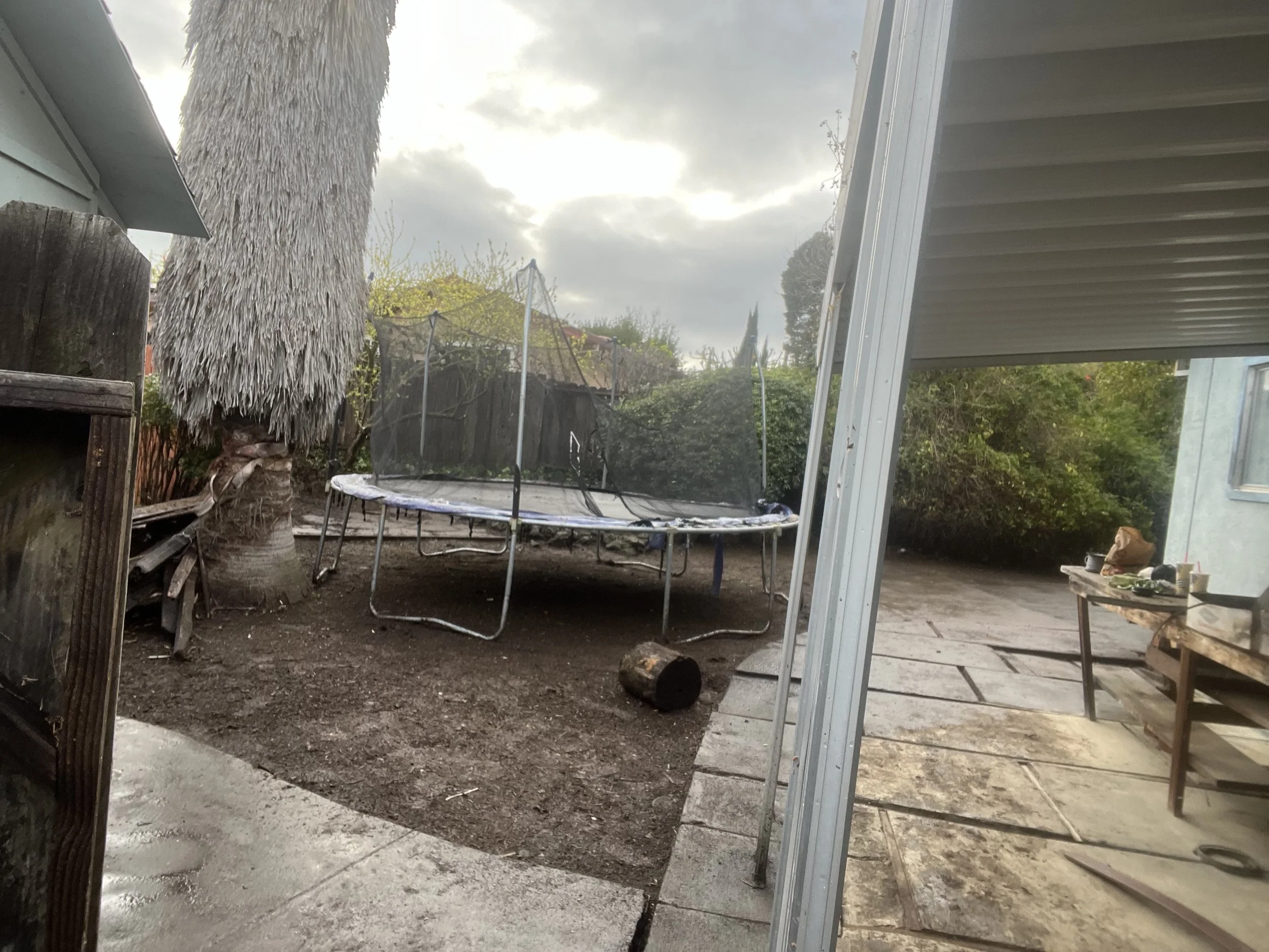 Backyard scene with a trampoline, a large palm tree with thatched roof, a covered patio area with a BBQ grill, and various outdoor furniture and items.