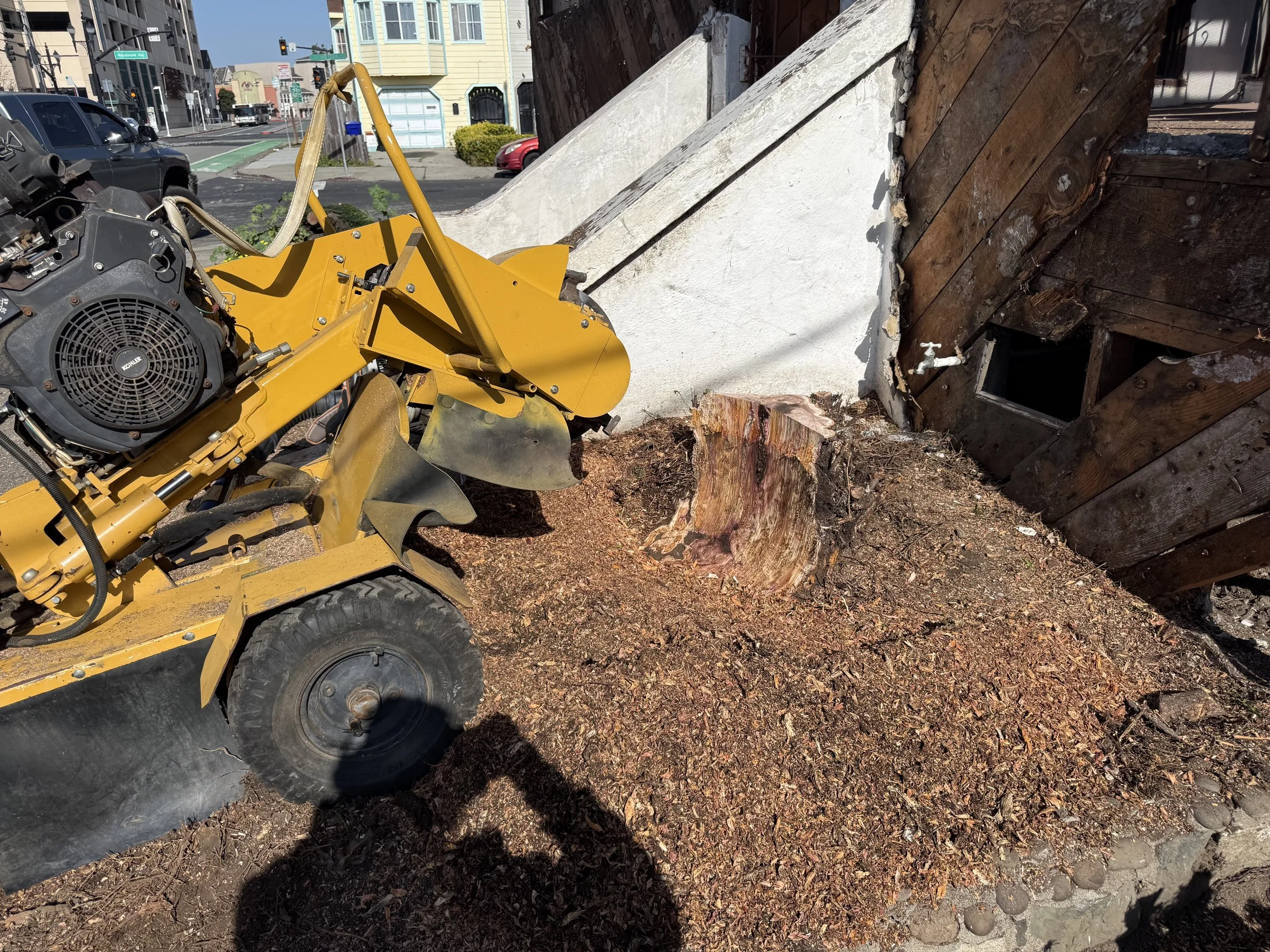 A yellow stump grinder parked in front of a house with a partially demolished wall and a tree stump in the yard.