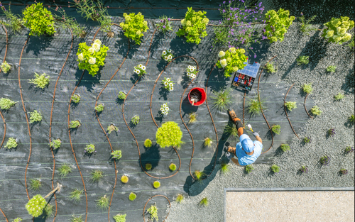 Professional landscaping revamp services in Solano County