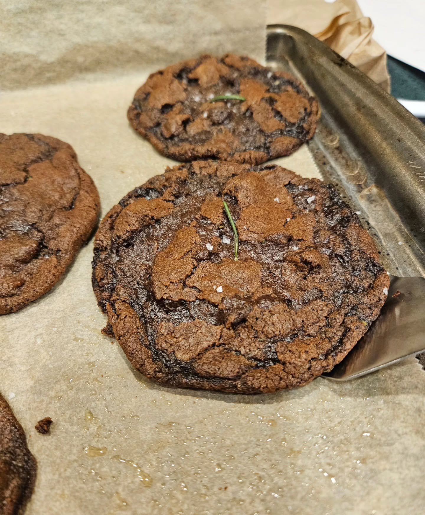 From the test kitchen: Chocolate rosemary cookies

Rosemary in cookies might sound strange but it works well with the chocolate and provides a subtle depth