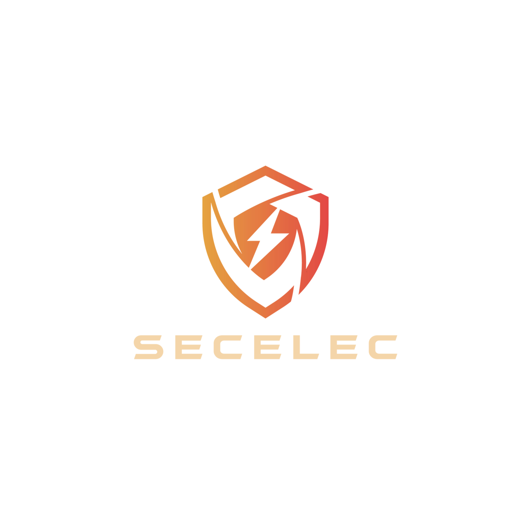 Logo of Secelec with a shield and lightning bolt icon in shades of orange and beige, and the company name in beige text beneath.