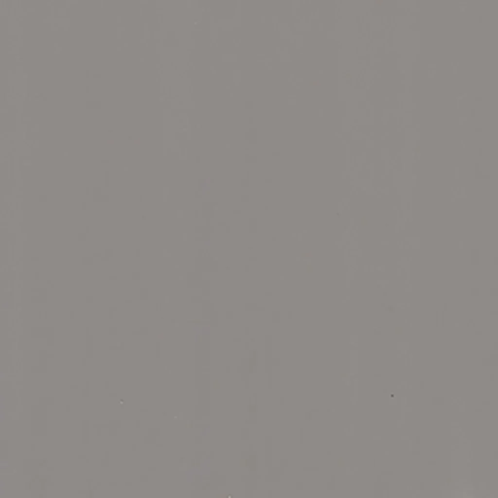 0718 FENIX_harmaa.jpg