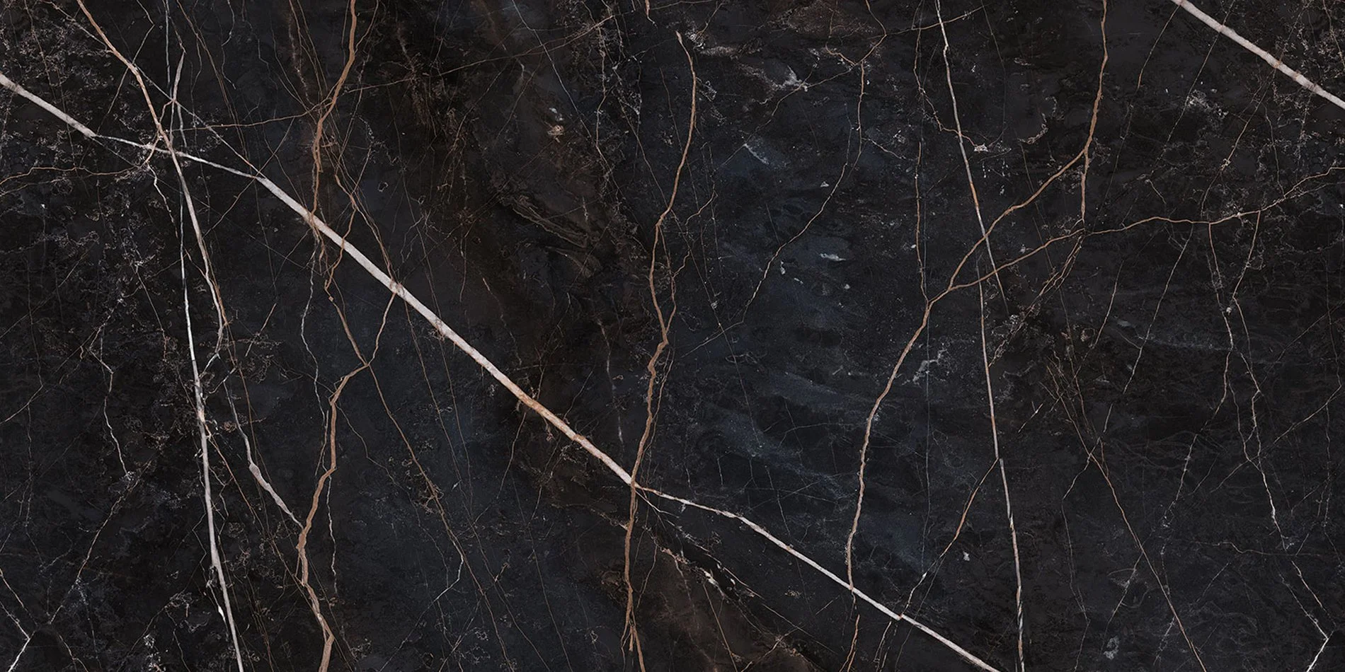 5187EM St.laurentin kivi.jpg