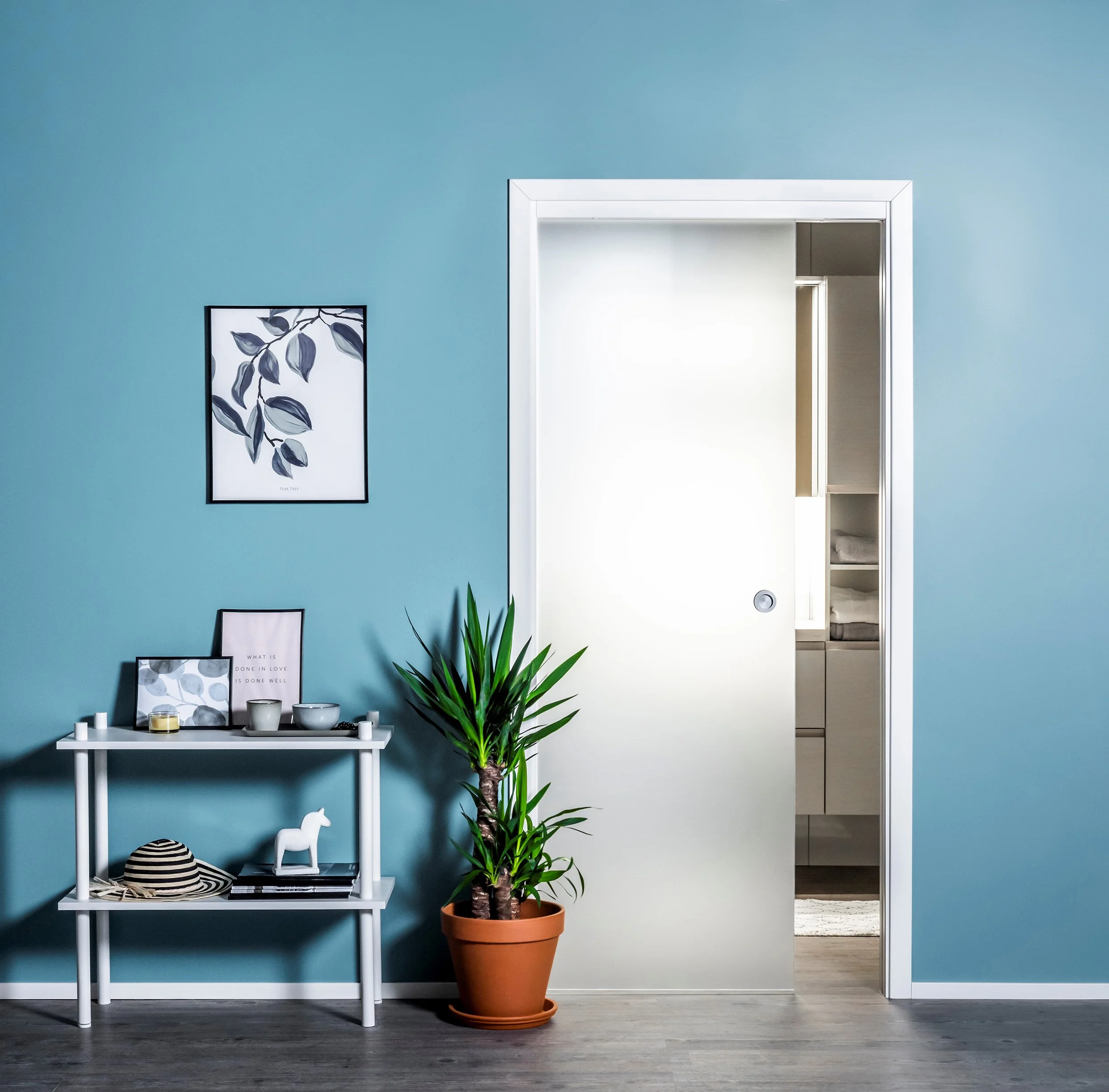 Cc134_Pocket door_lasiovi.jpg