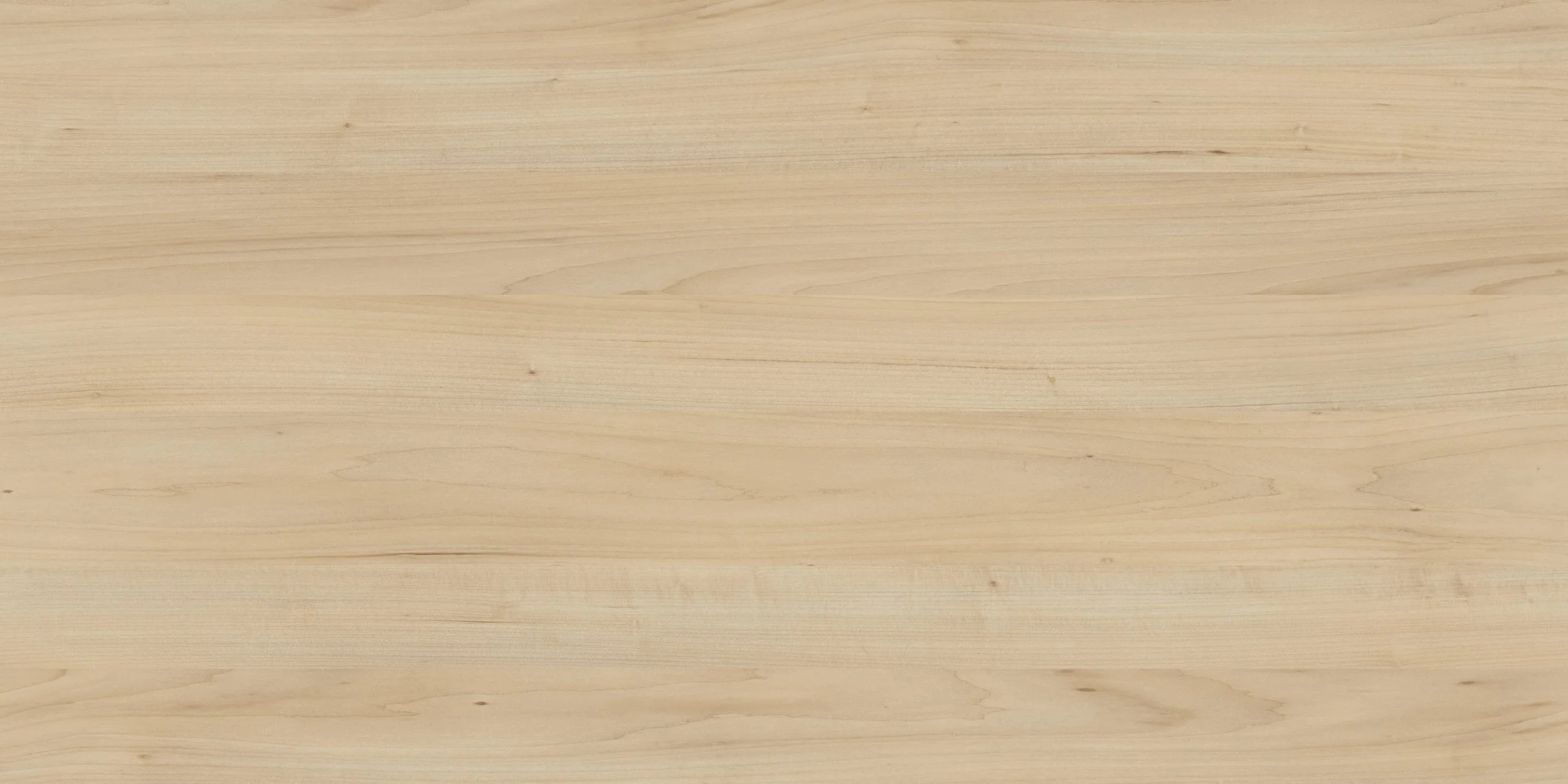 4412P Rantakoivu.jpg