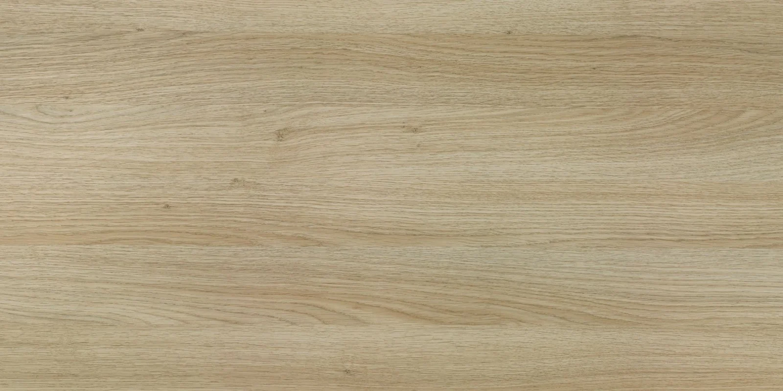 8431U Vaalea tammi.jpg