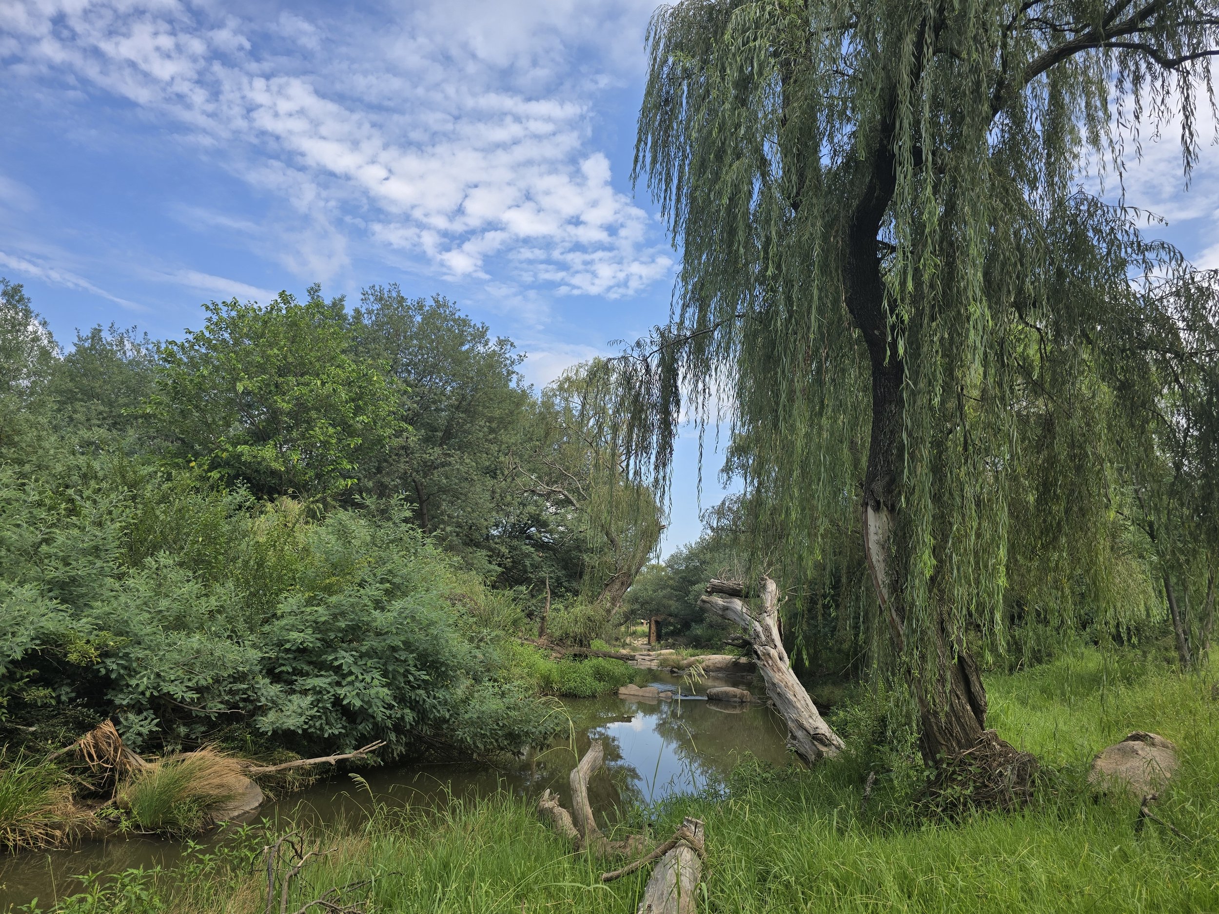 Rietfontein, Muldersdrift  2Ha