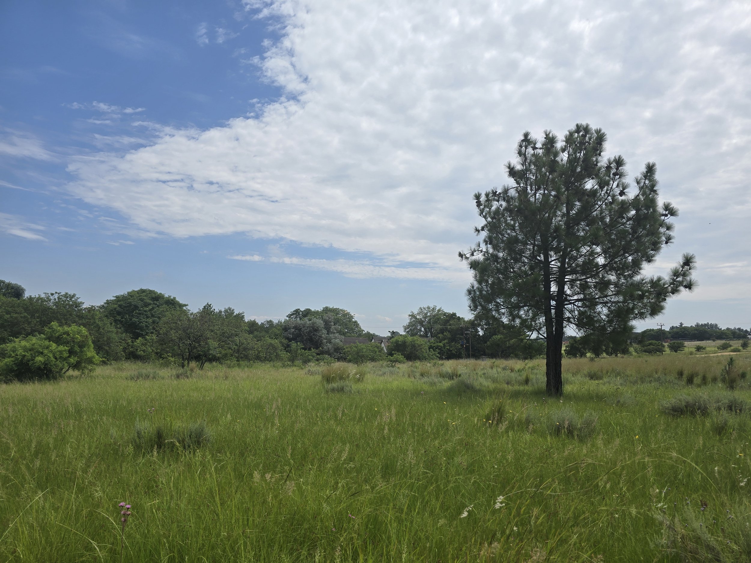 Rietfontein, Muldersdrift 2.2961Ha