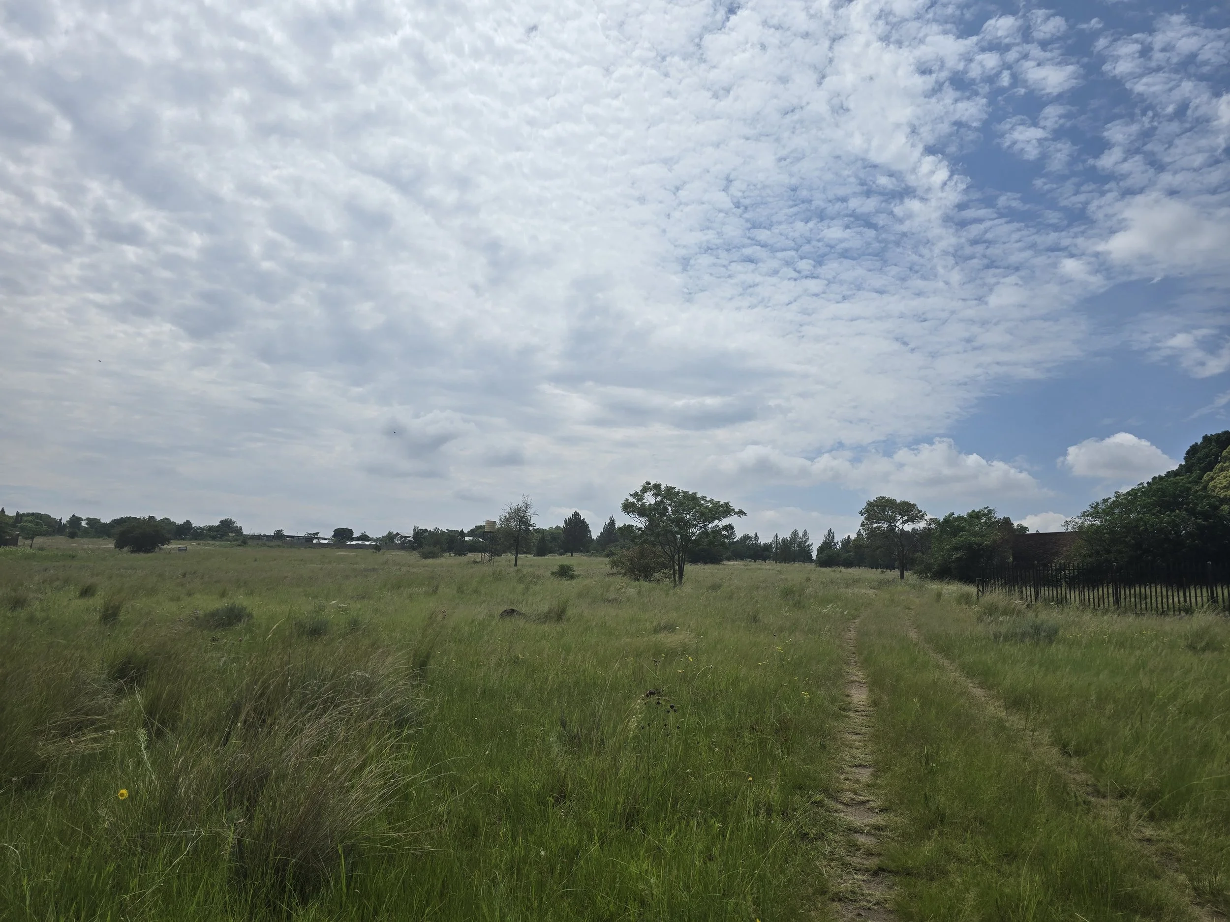 Rietfontein, Muldersdrift 2.2961Ha