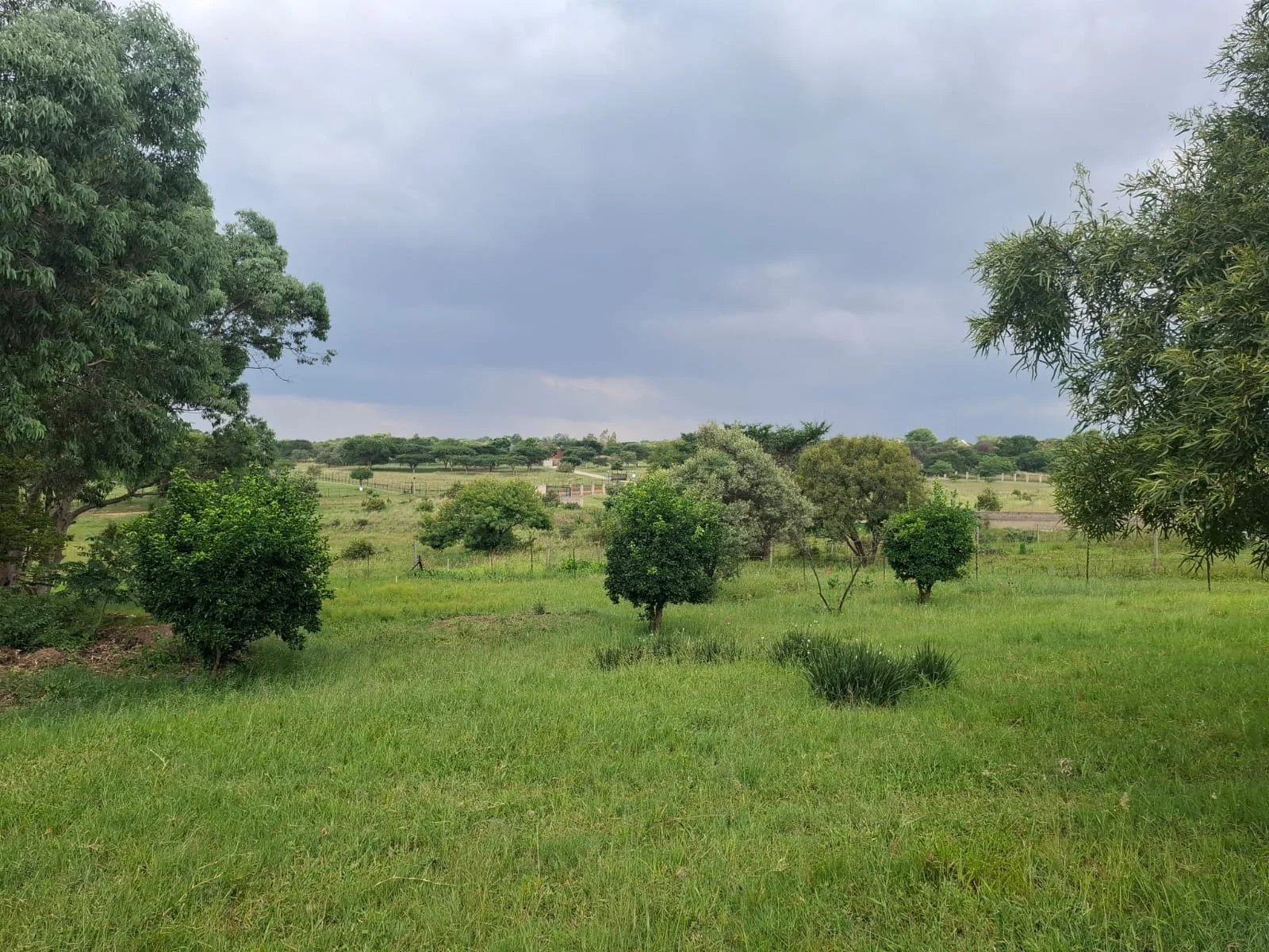 Lammermoor Conservancy, Krugersdorp 3.426Ha