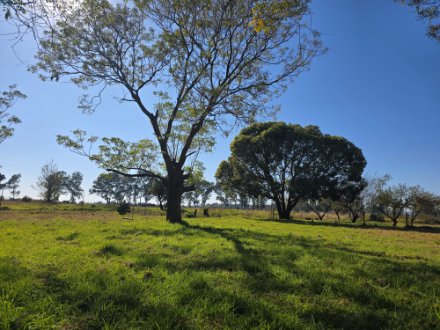 Vlakplaats, Tarlton 8.57Ha