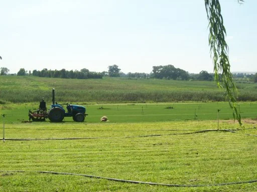 Vlakplaats, Tarlton 5.78Ha