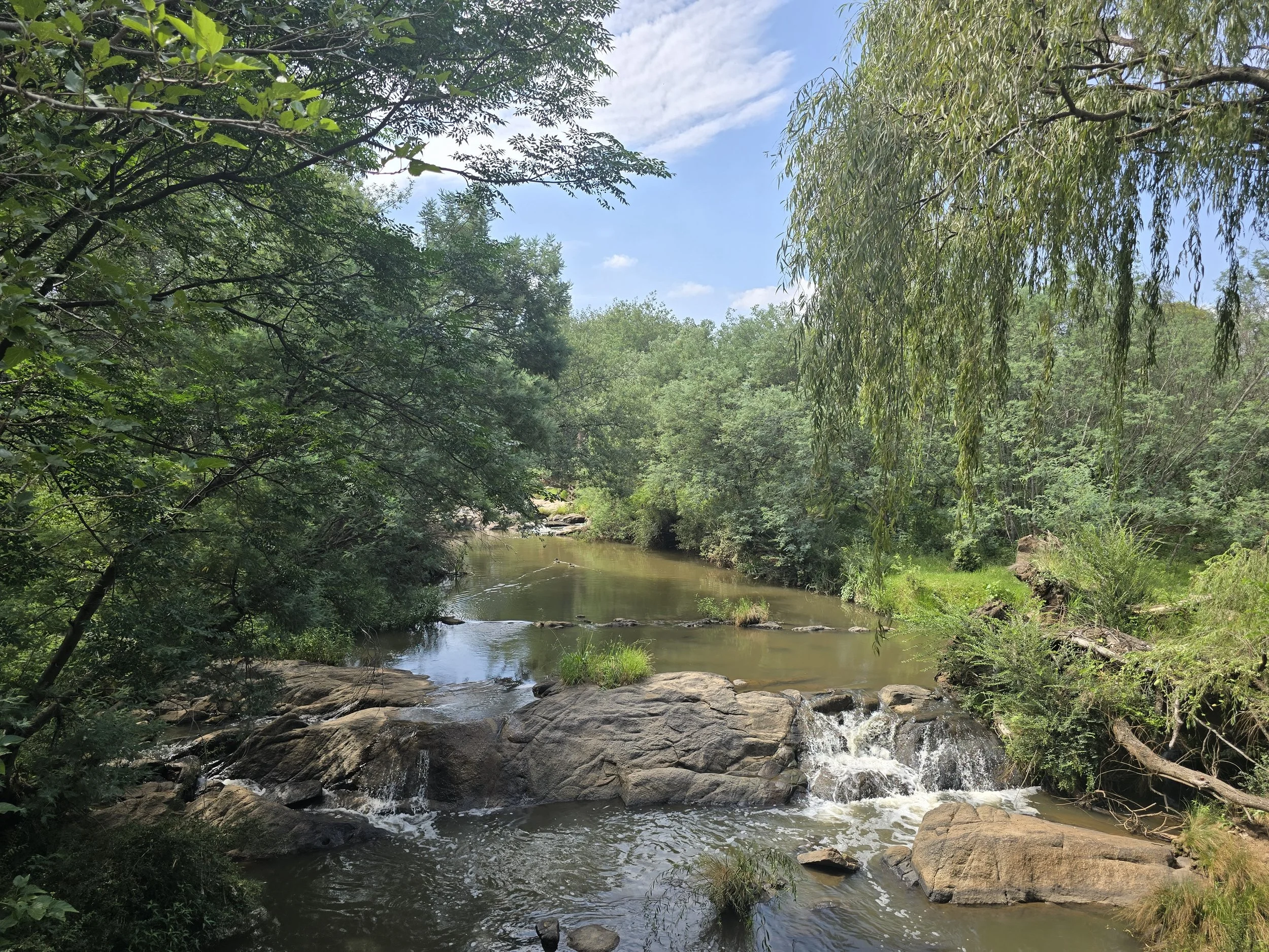 Rietfontein AH, Muldersdrift 12.5 Ha