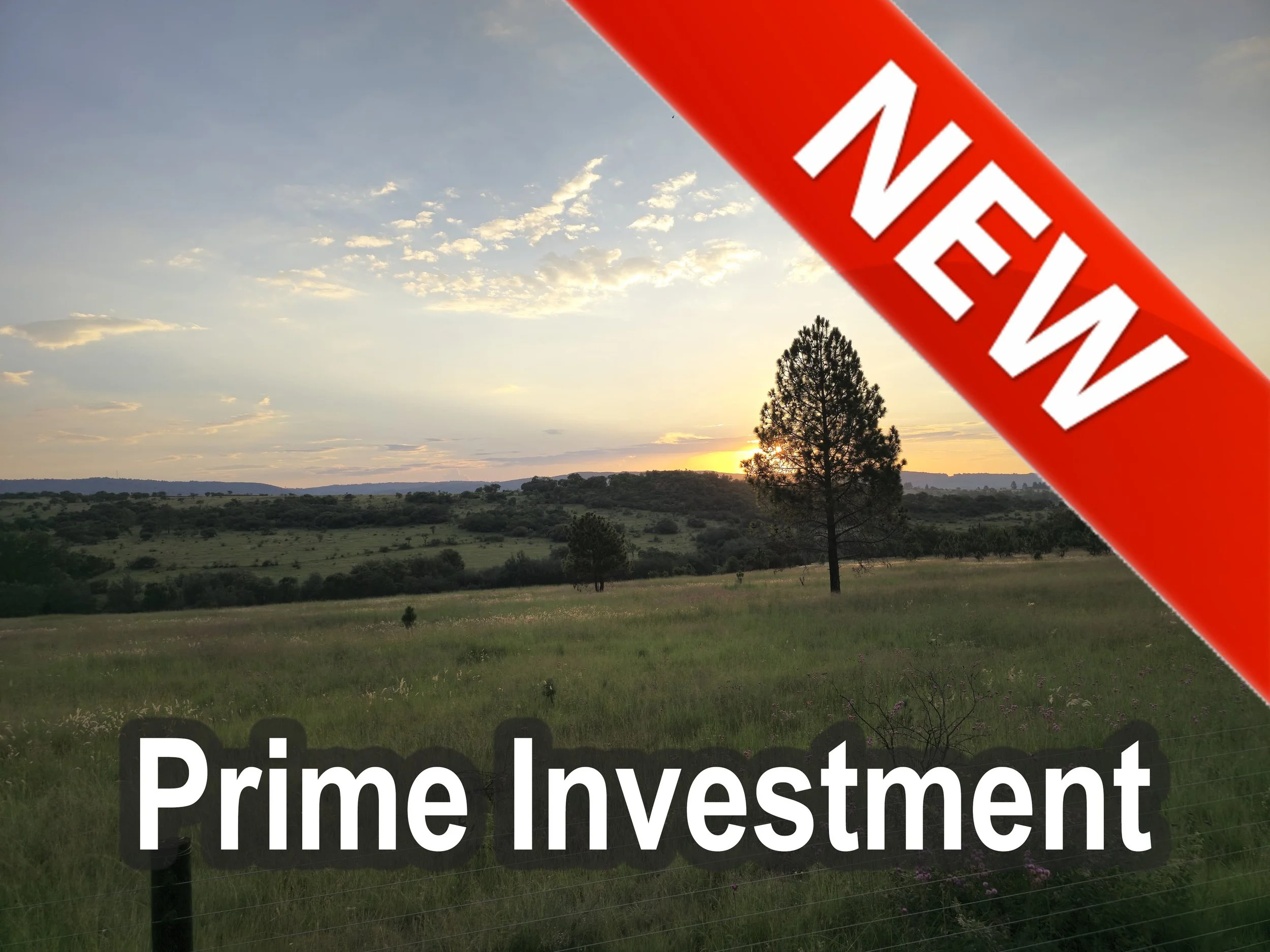 Rietfontein AH, Muldersdrift 6Ha