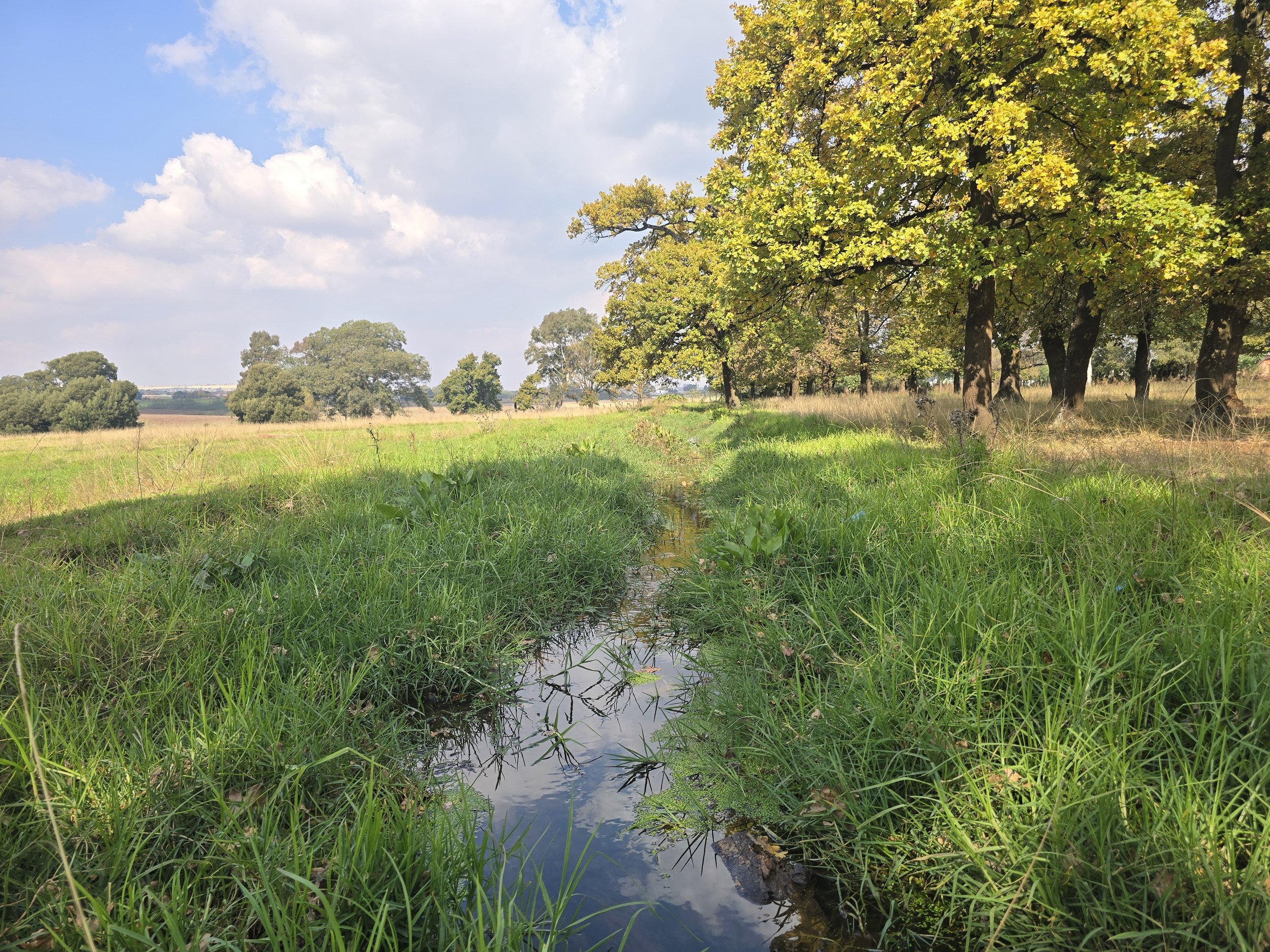 Vlakplaats, Tarlton 16.9Ha