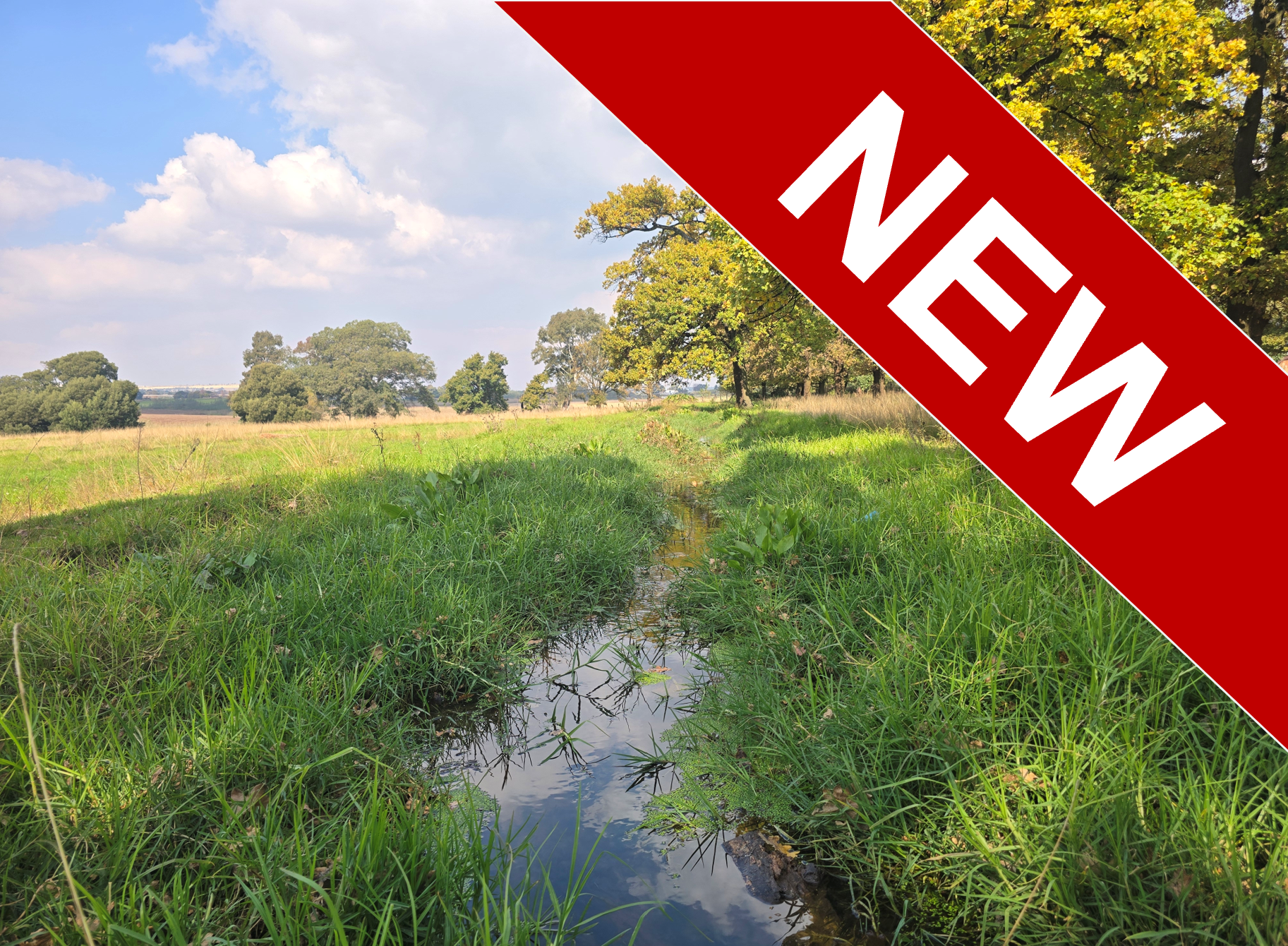 Vlakplaats, Tarlton 16.9Ha