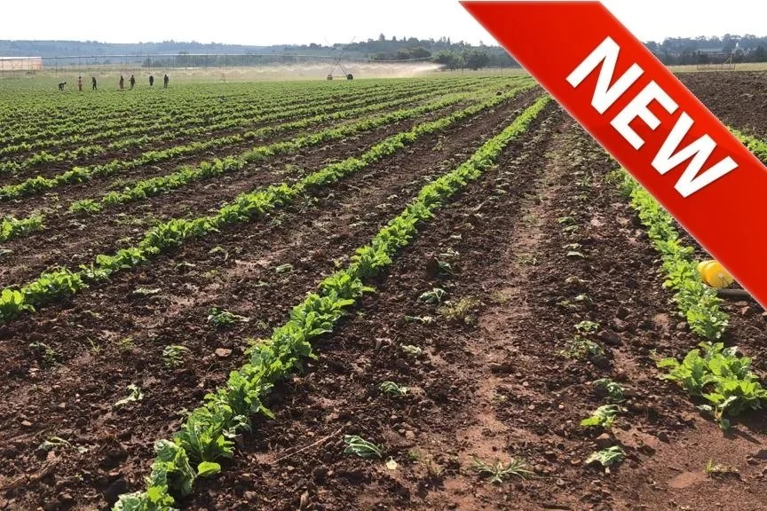 Zwartkrans, Krugersdorp 23.6Ha