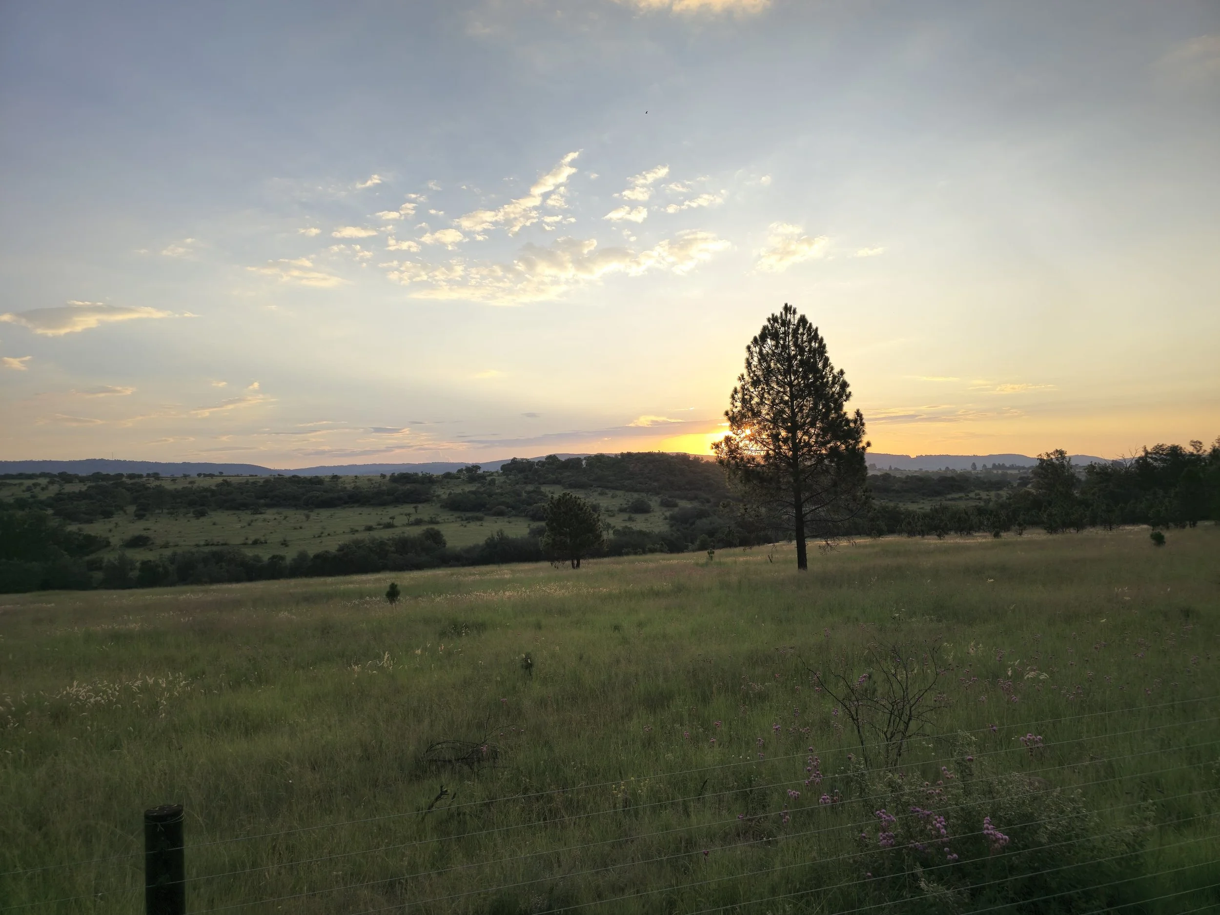 Rietfontein AH, Muldersdrift 6Ha