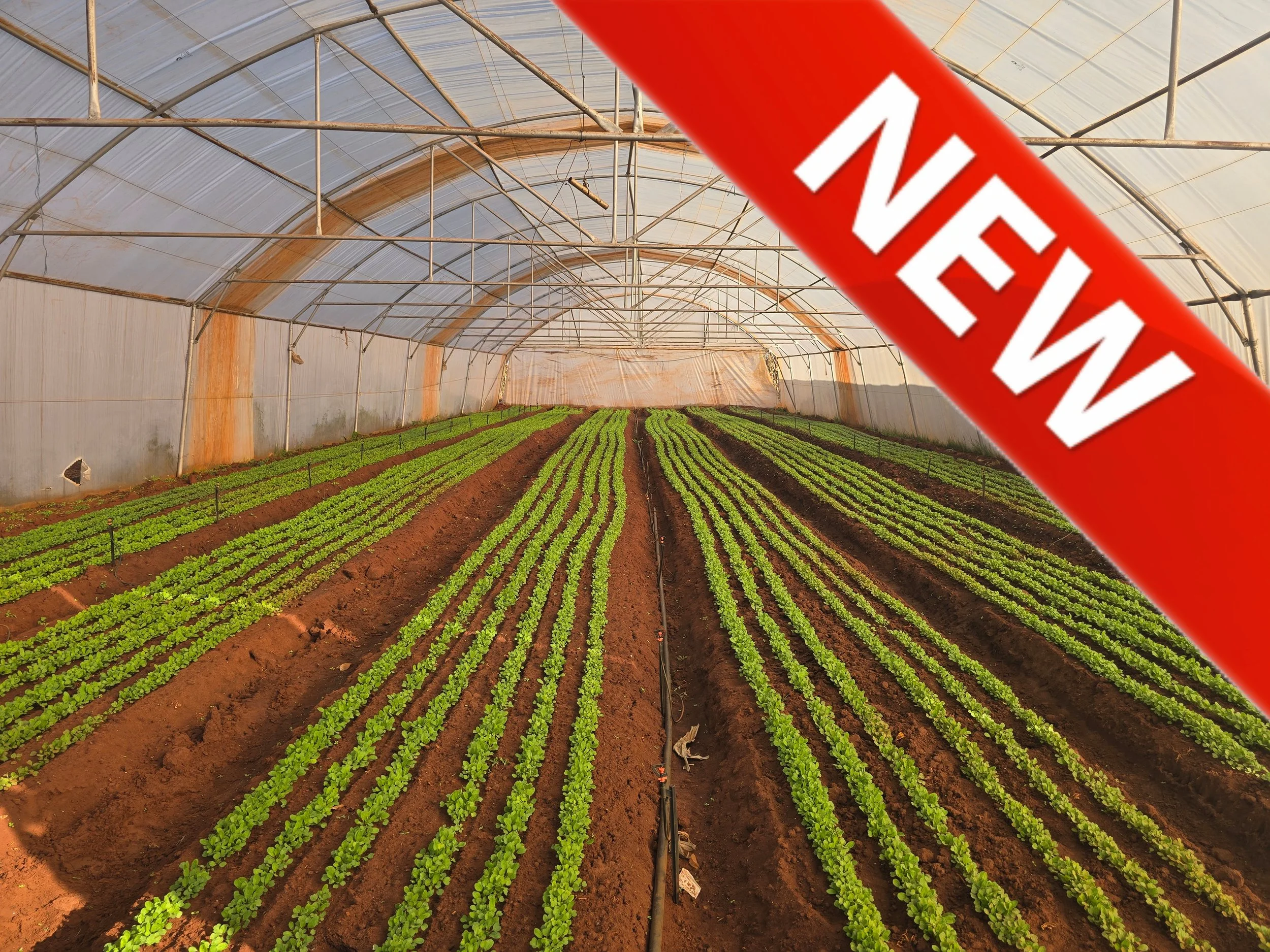Tarlton, Krugersdorp 21.4Ha