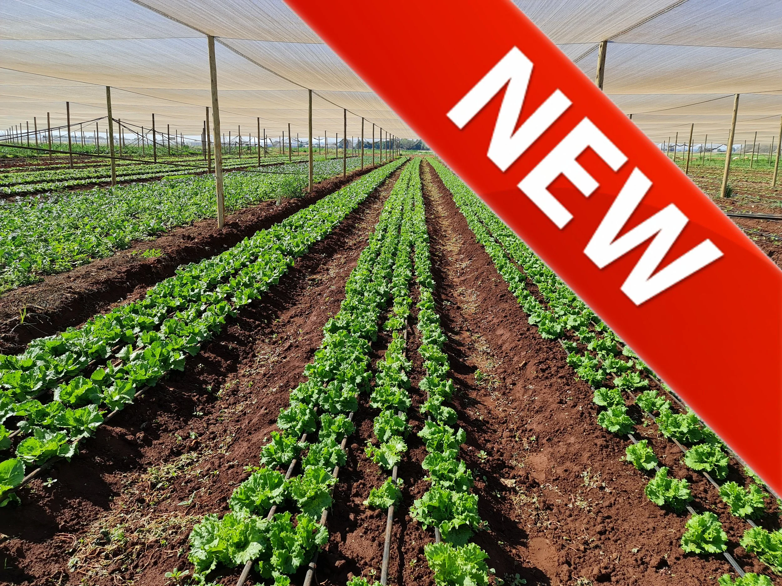 Tarlton, Krugersdorp 17.8Ha