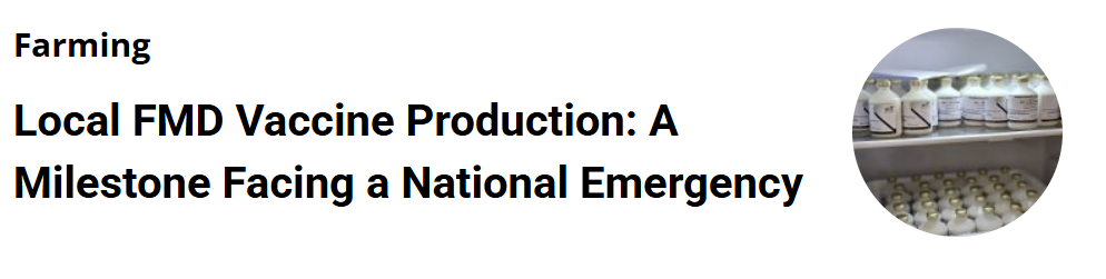 Image shows vaccine vials and syringes on a shelf, indicating vaccine production.