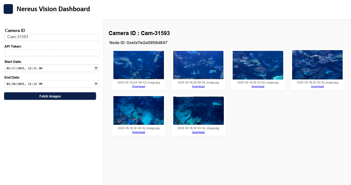 Remote Data & Dashboards