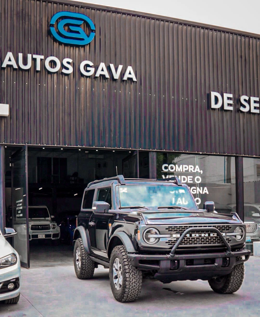 videos para redes sociales profesionales 