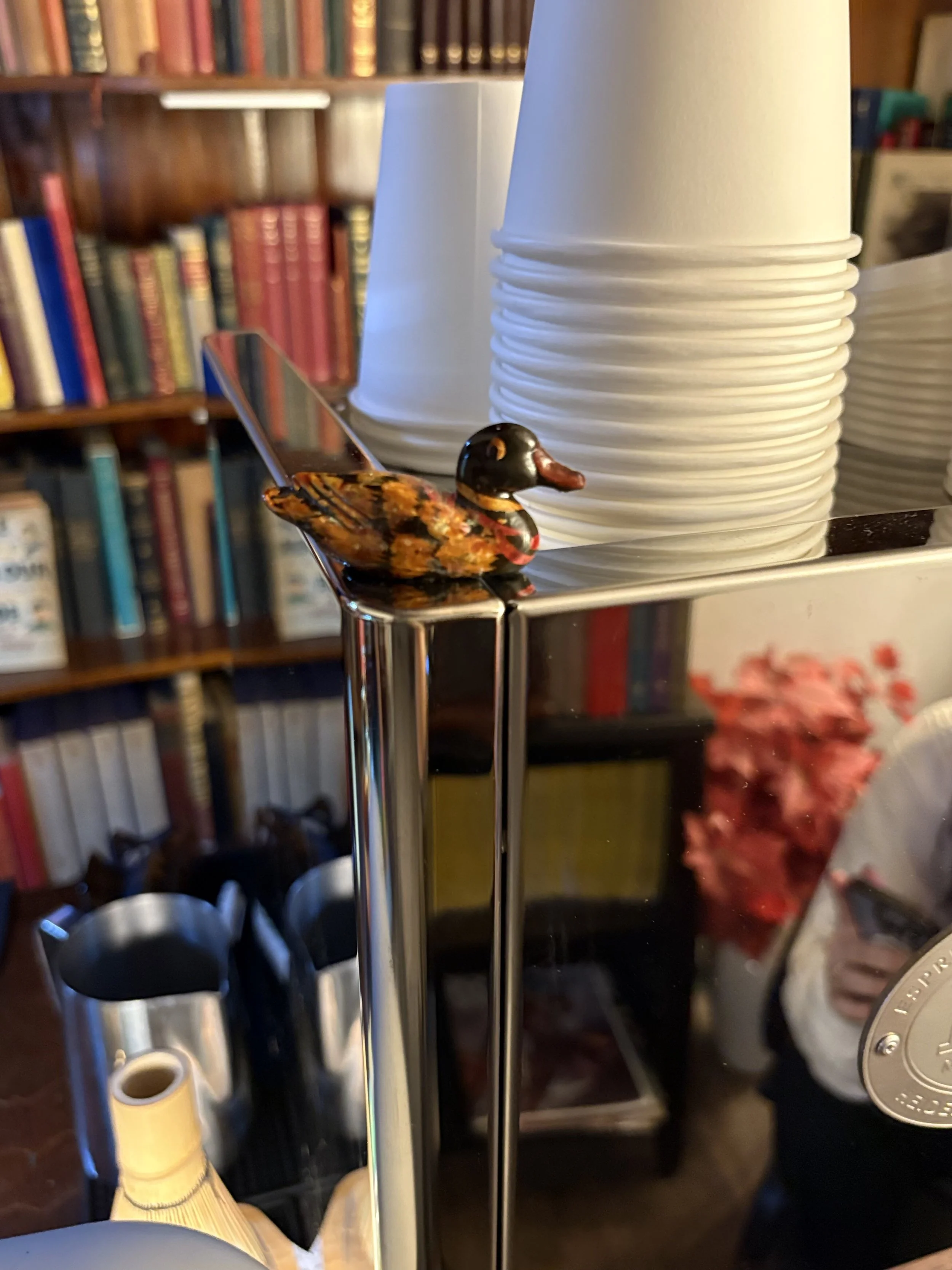 Close-up of a tray holding paper coffee cups, a fish-shaped utensil, and a yellow spice bottle, with a bookshelf in the background.