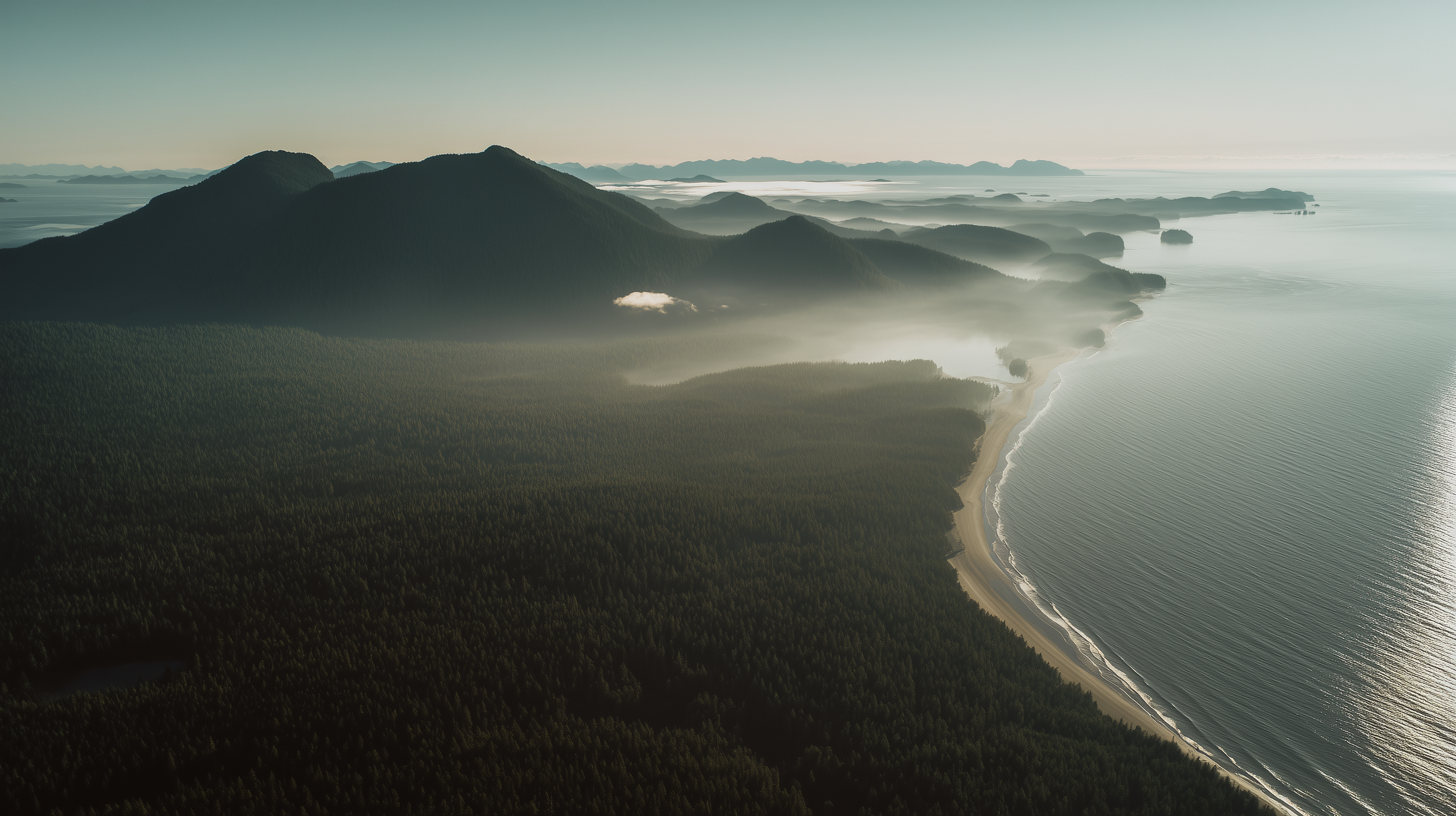 haida beach from the air.png