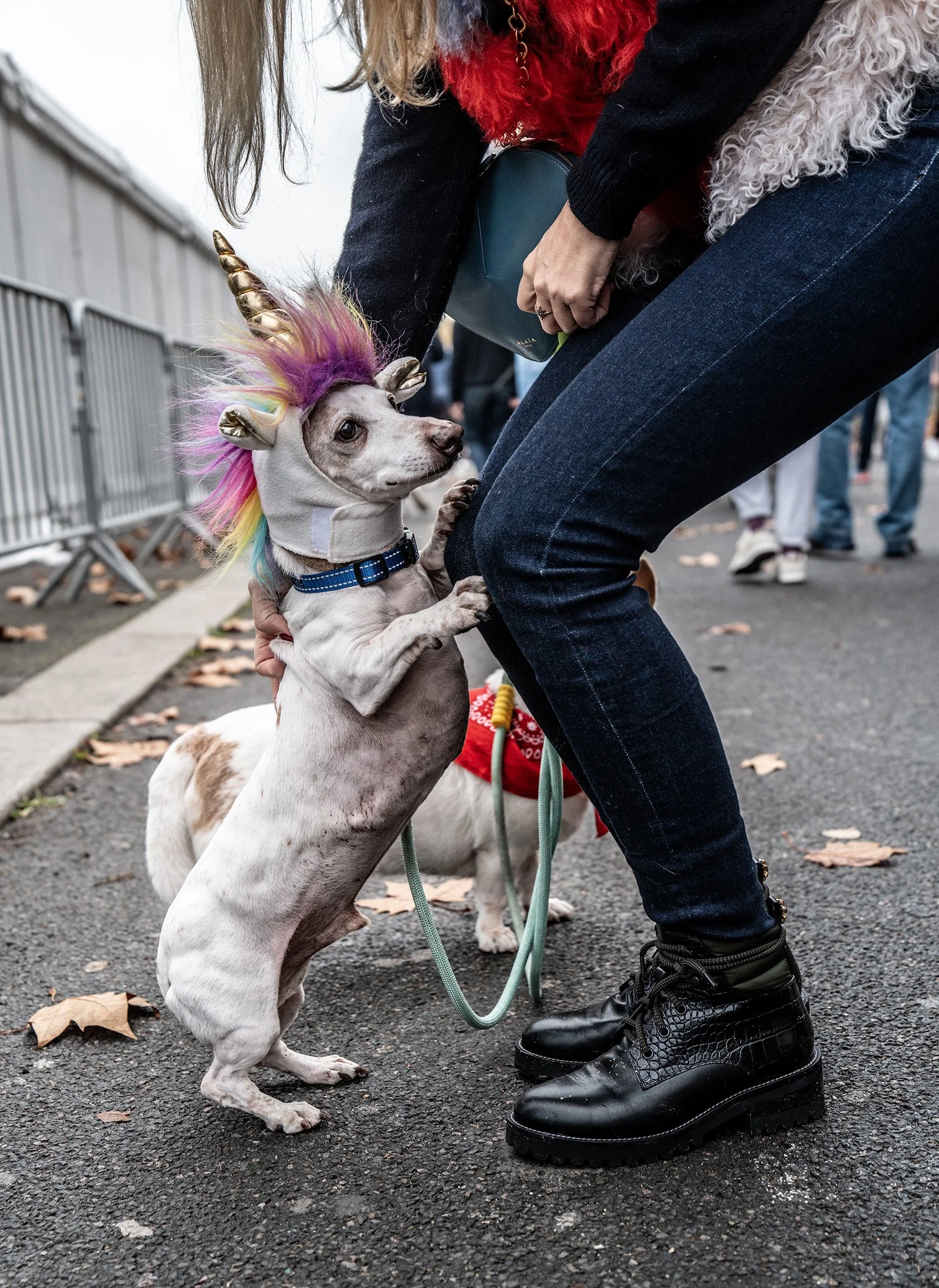 unicornio.jpg