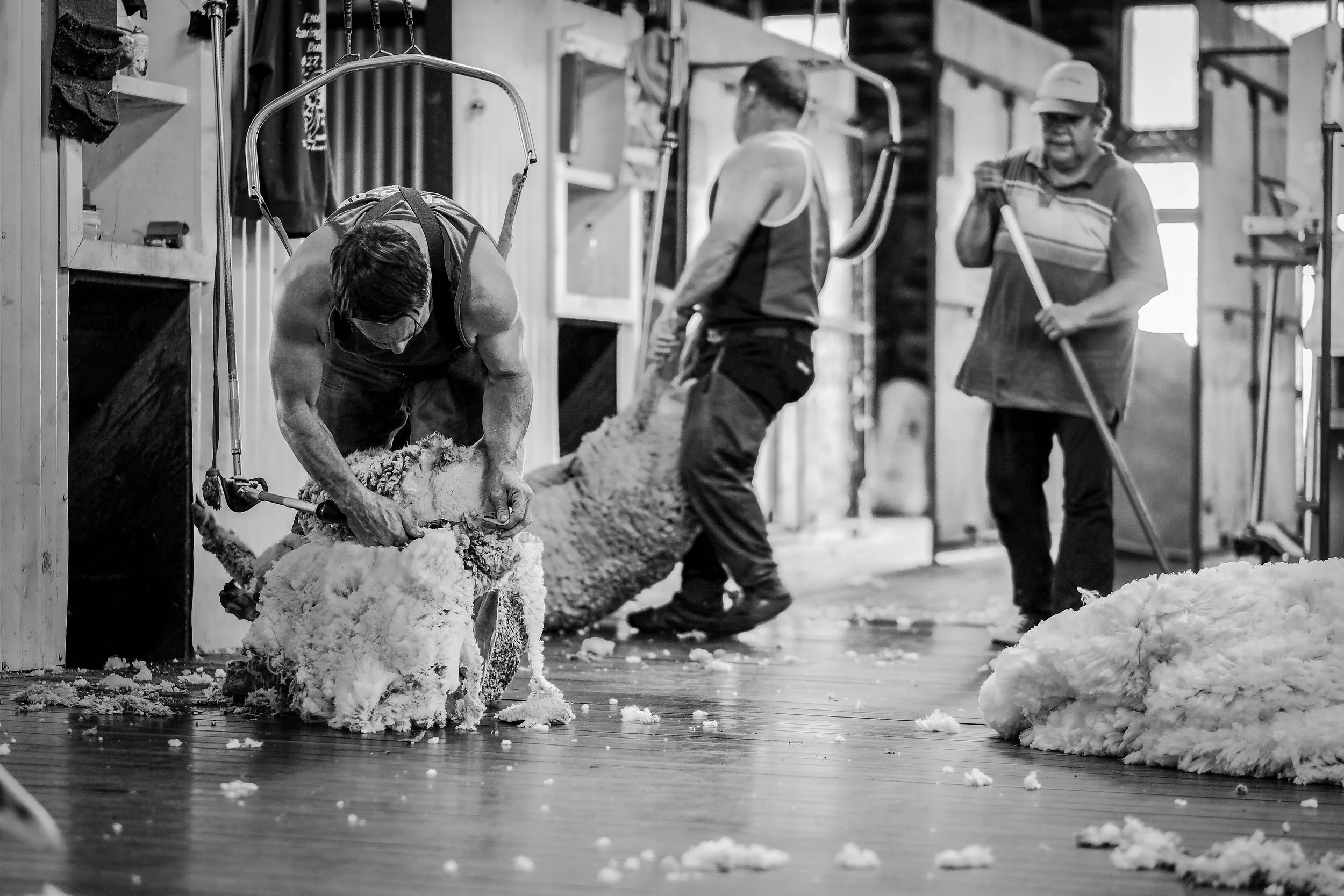 Corrugated Cathedrals