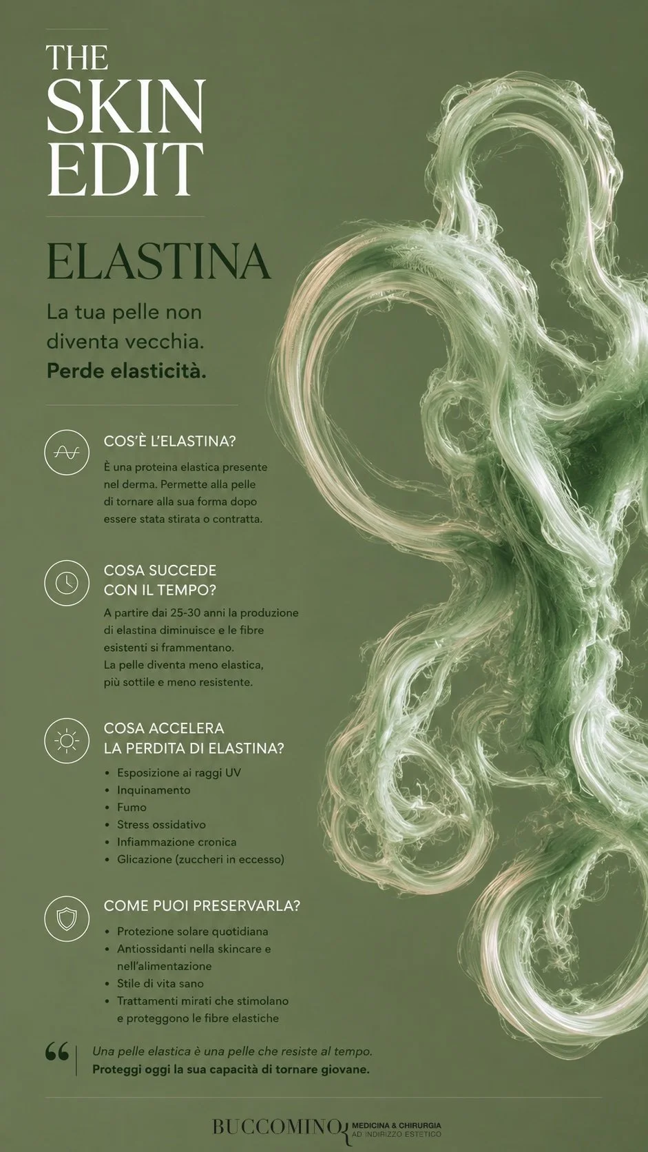 Elastina.jpg