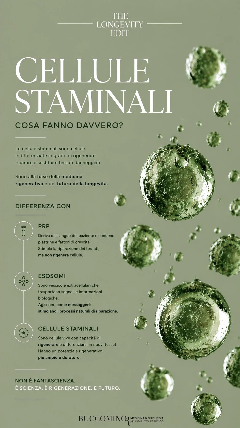 Utilizzo delle cellule staminali