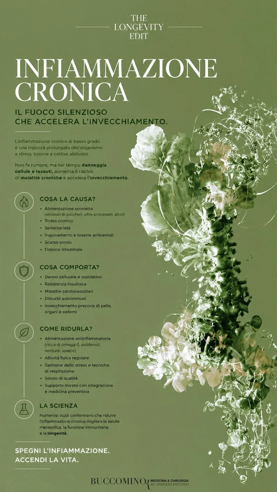 InfiammazioneCronica.jpg
