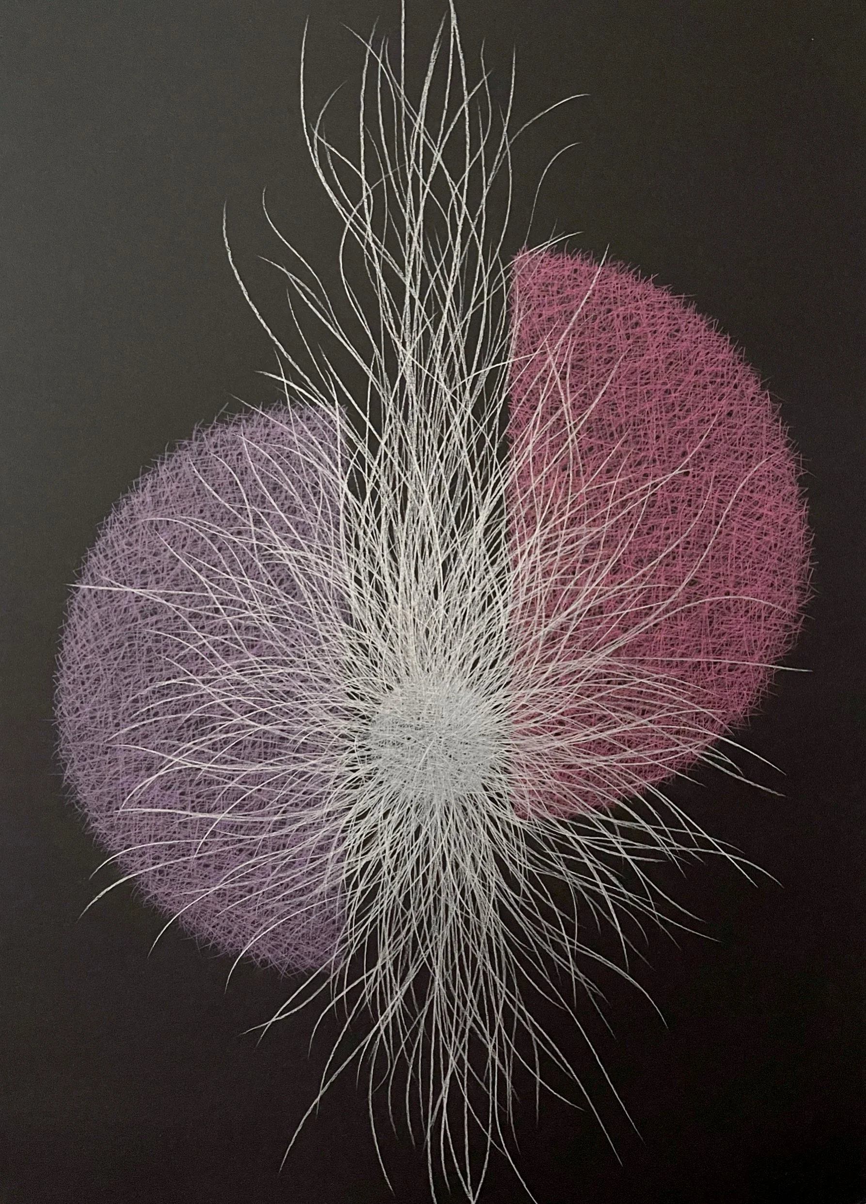 Another Burst
50x70 cm
Color pencil on paper
2023