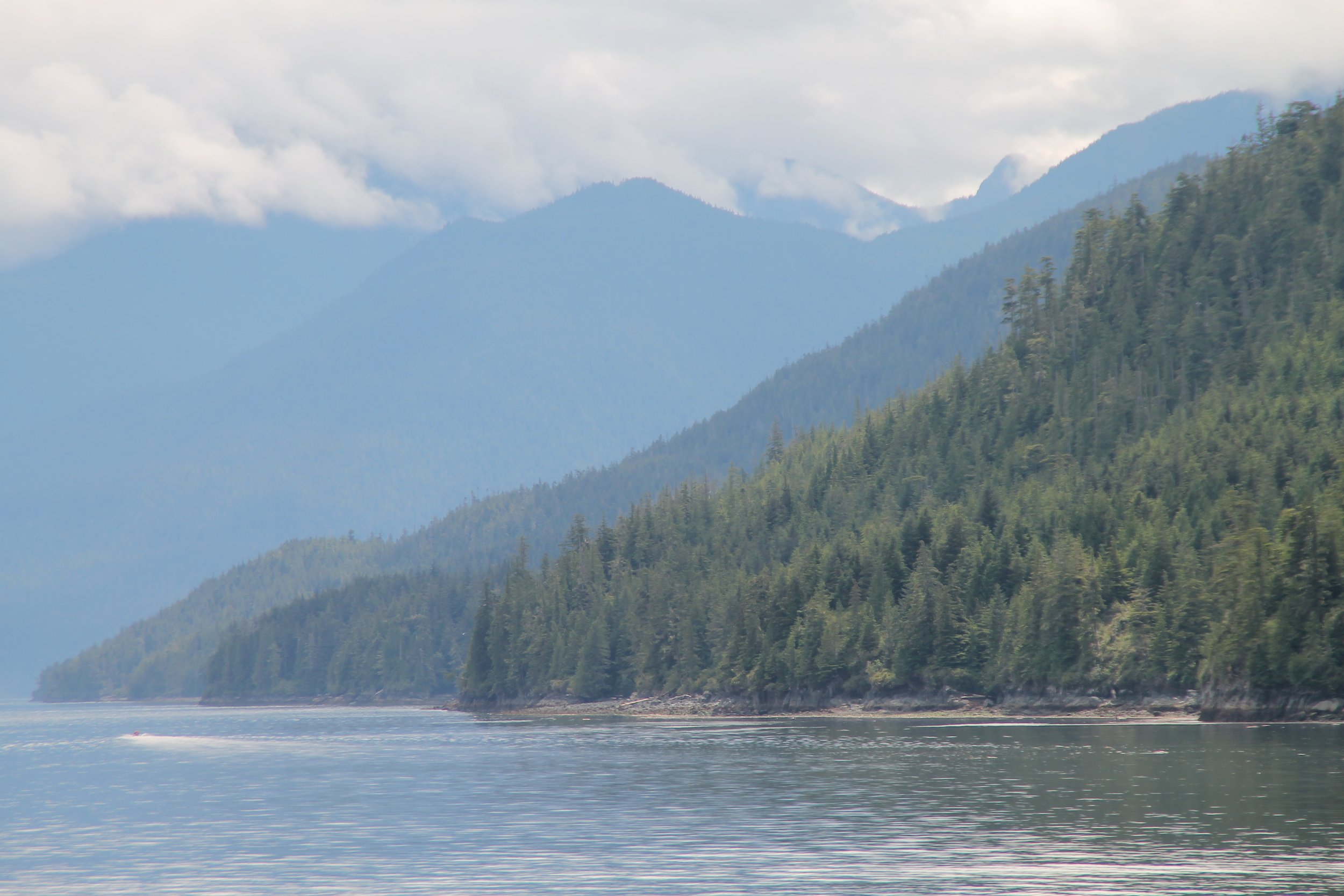 A scenic view of a river with a forested shoreline and misty mountains in the background, under a cloudy sky.