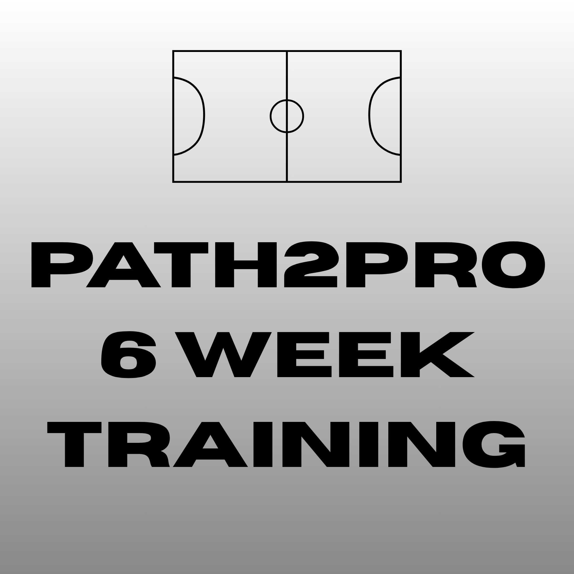 Path2Pro 6 Week Training Program