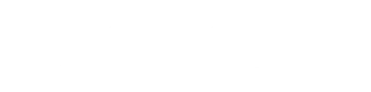 Lane Crawford Hong Kong — luxury stockist