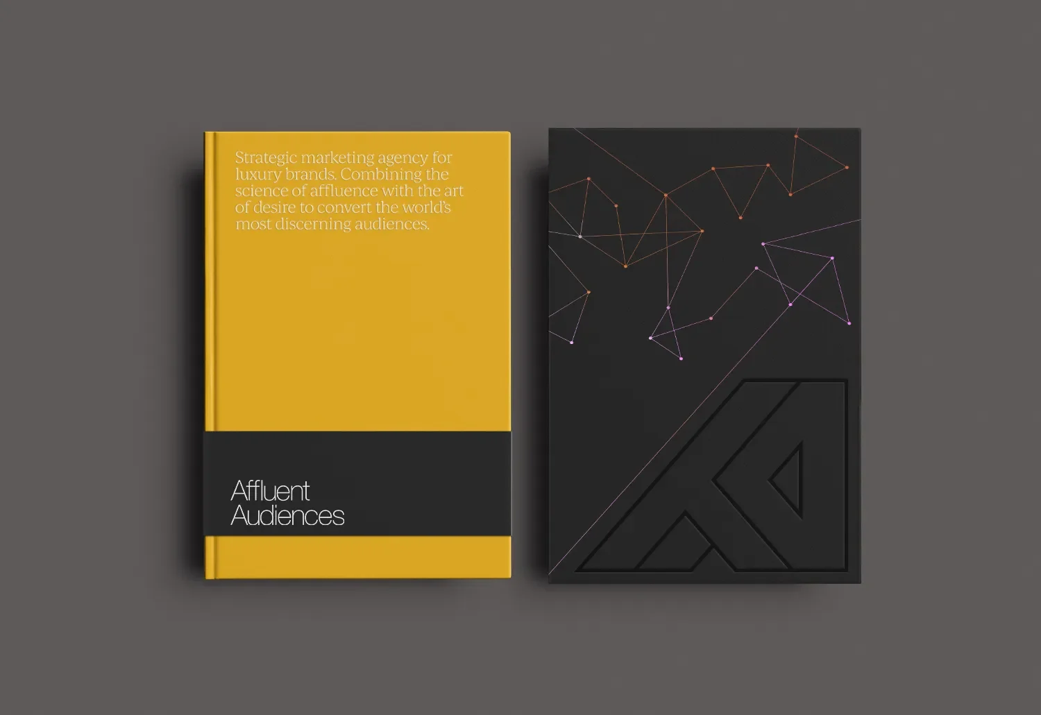 Custom hardback book brochure design featuring a sliding sleeve and belly band created by our print design agency