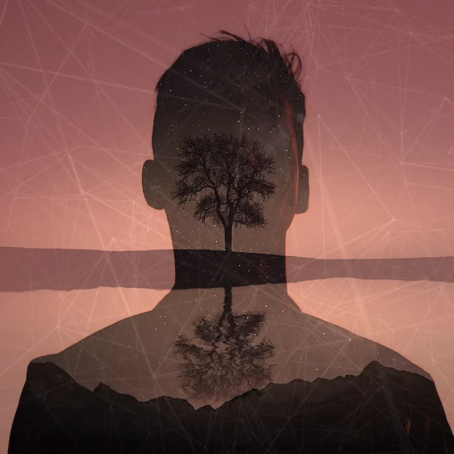 icon depicting the pareto principle on a background image of a CMO
