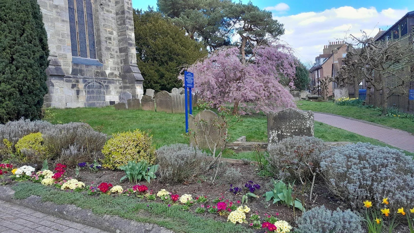 A small garden with colorful flowers, a pink flowering tree, and a historic stone building in the background.