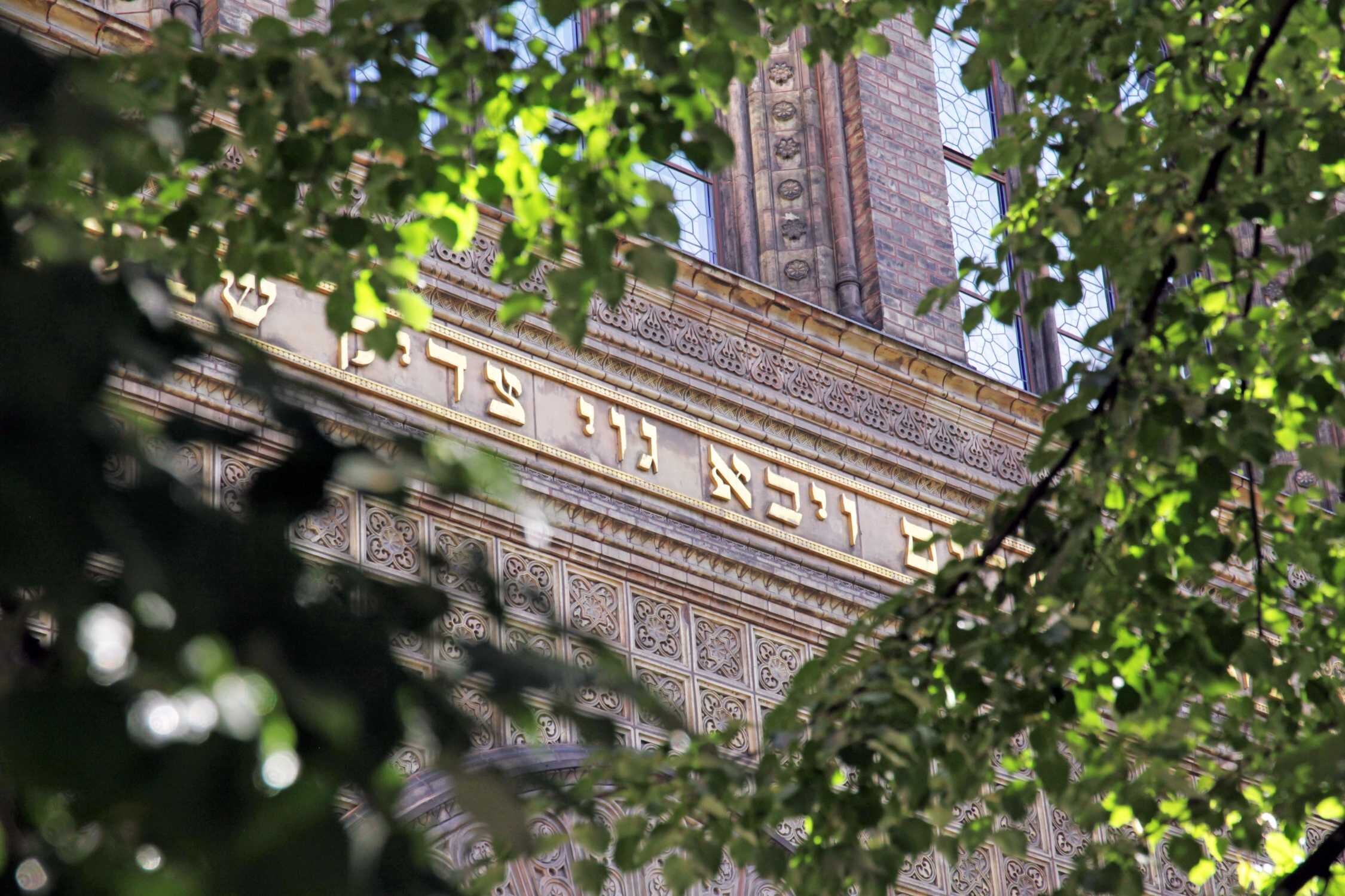 New Synagogue Jewish District Warnemuende Cruise Tour Berlin Shore Excursion Rostock