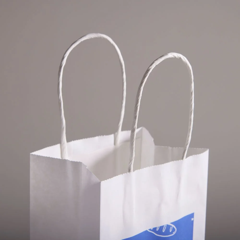 paper-bag-03.jpg