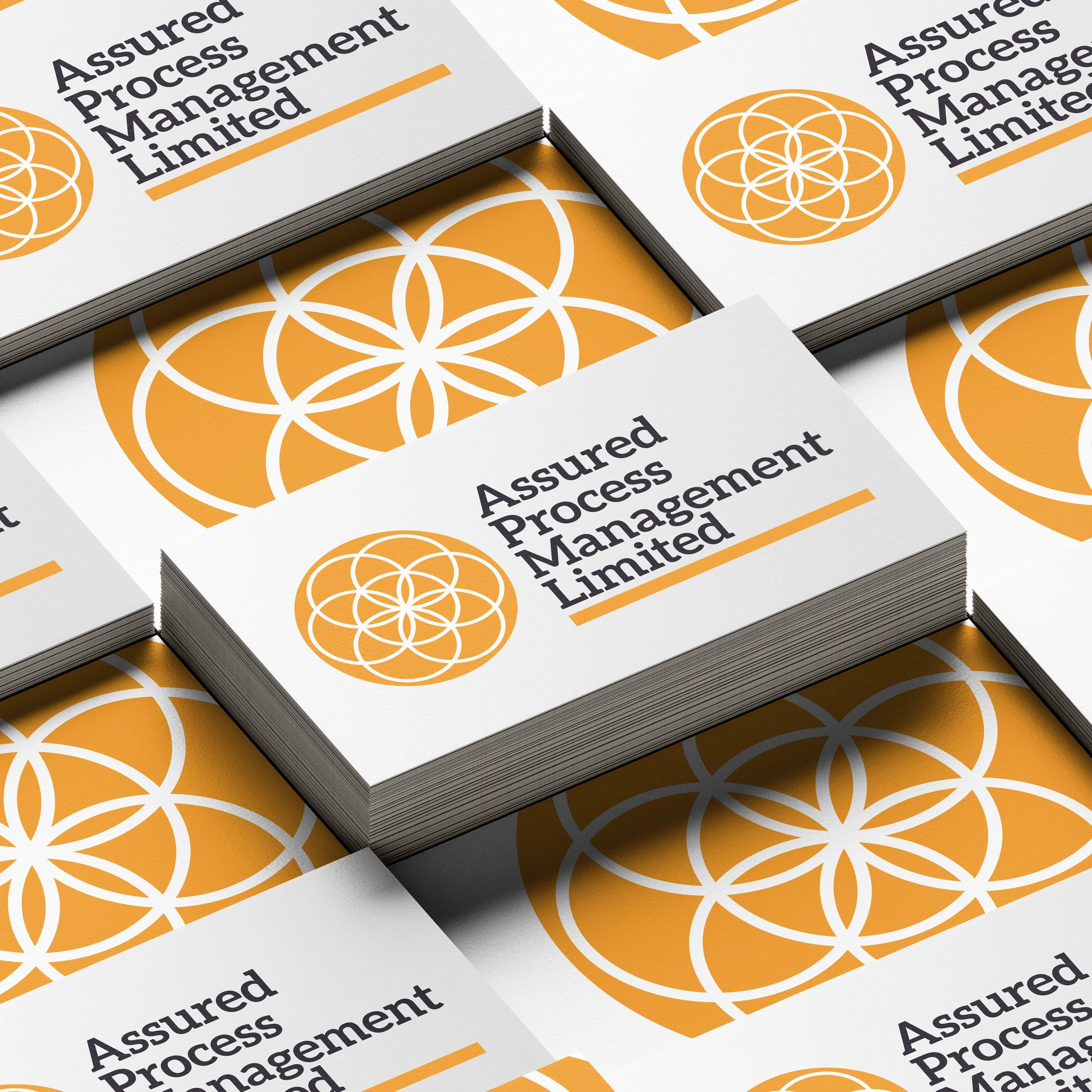 Business cards with white background, orange geometric design, and black text reading 'Assured Process Management Limited'.