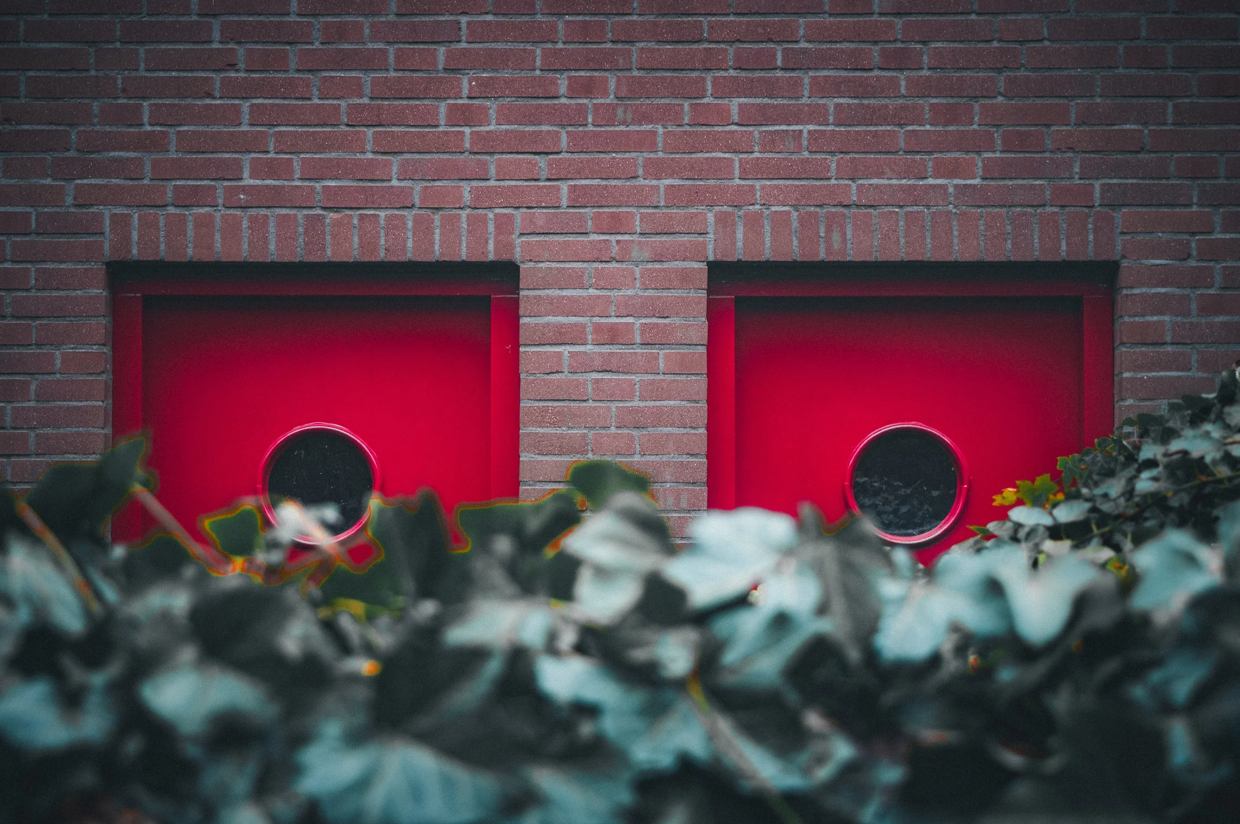 Two red doors mounted on a brick wall partially obscured by greenery in the foreground.
