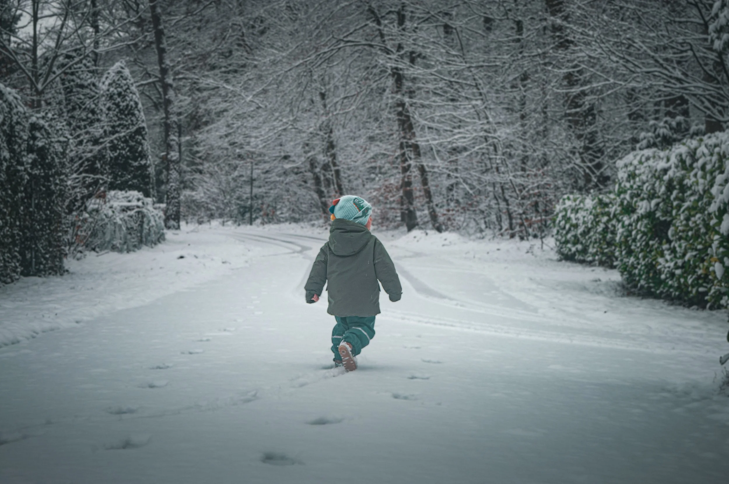 A child walking through a snow-covered park or forest, wearing a winter coat and a colorful knit hat, surrounded by snow-laden trees and bushes.