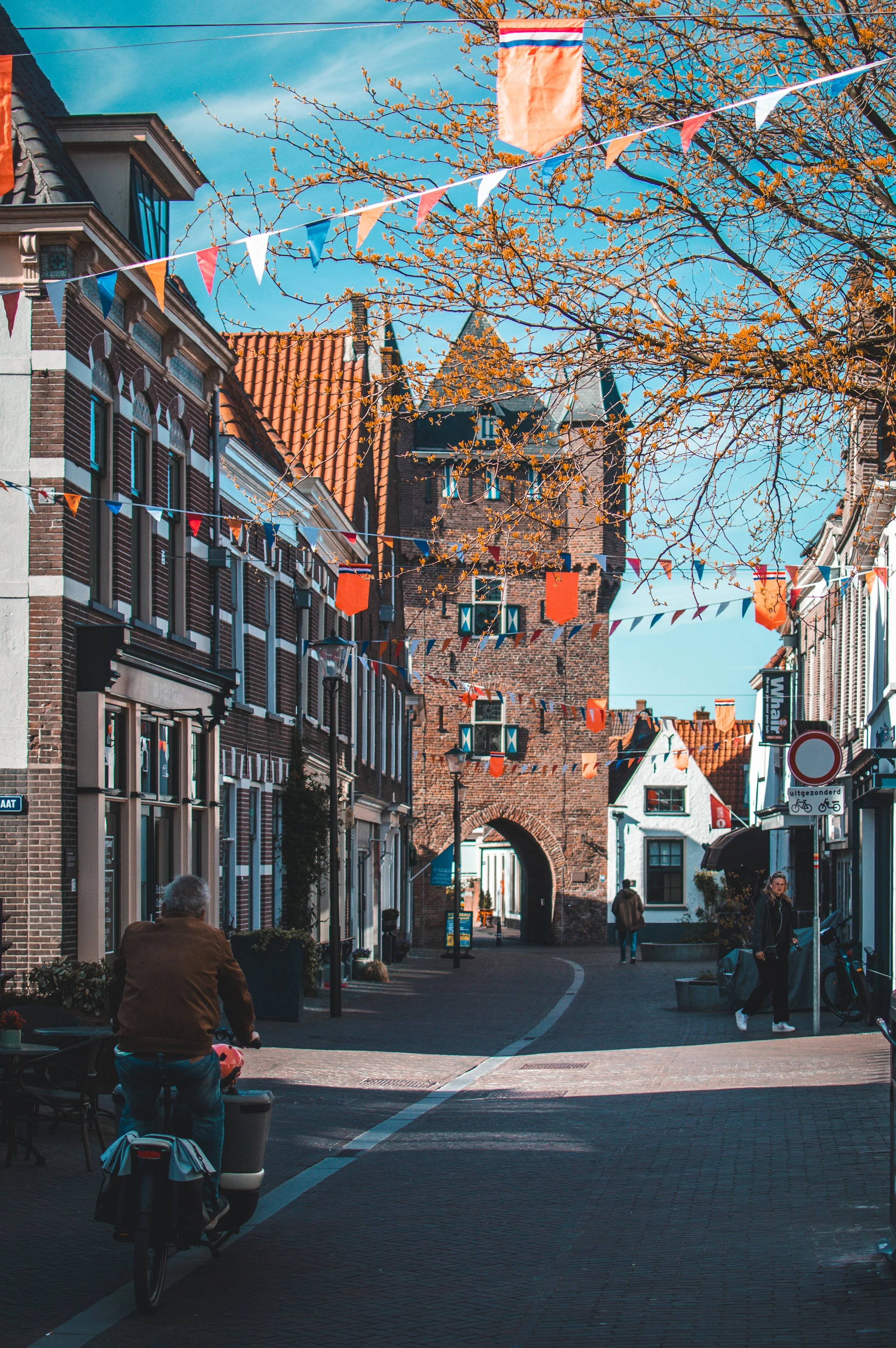 DSC_0002.jpeg
